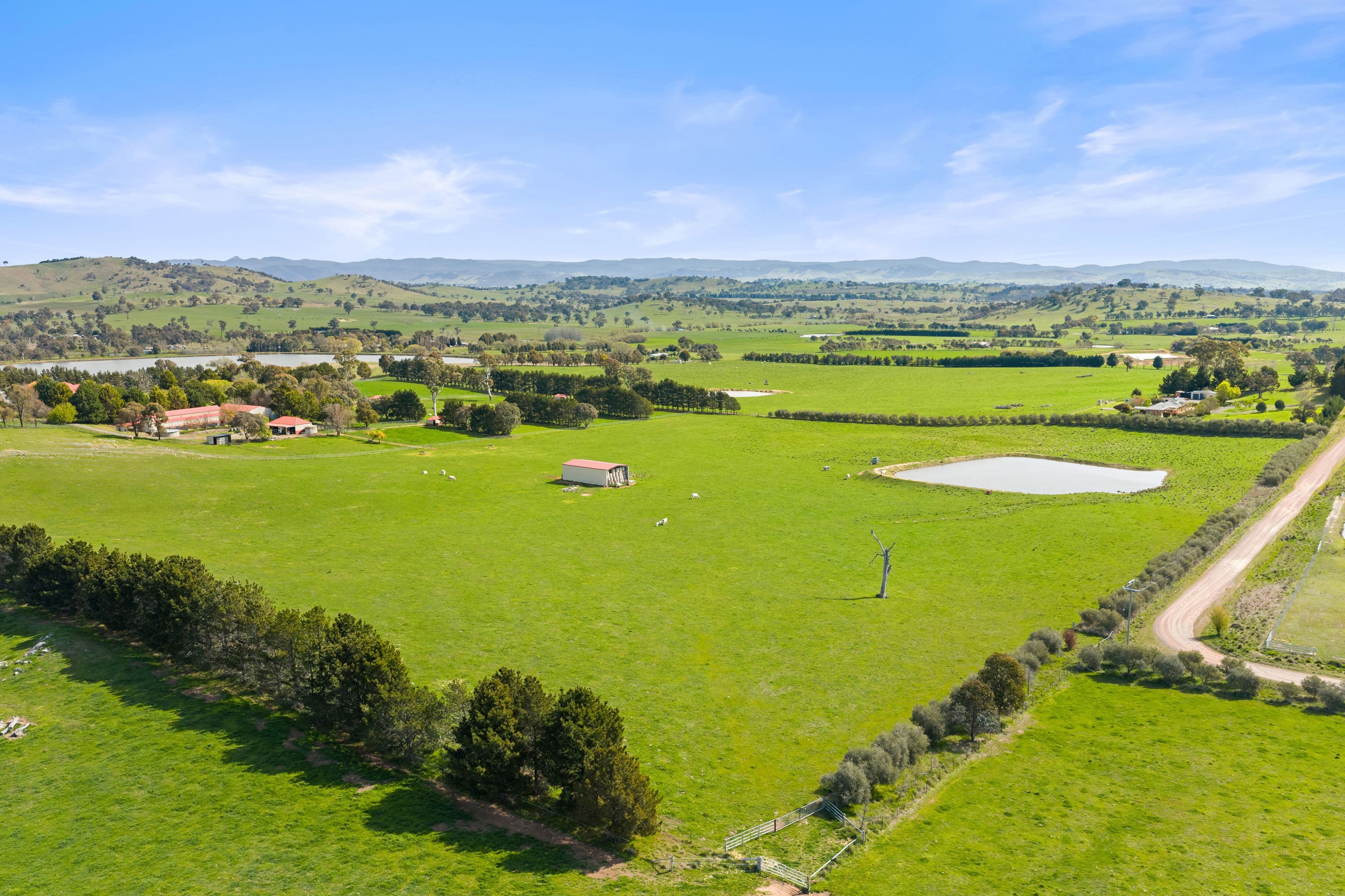 713 Nanima Road, Springrange NSW 2618, Springrange - Thumbnail 6