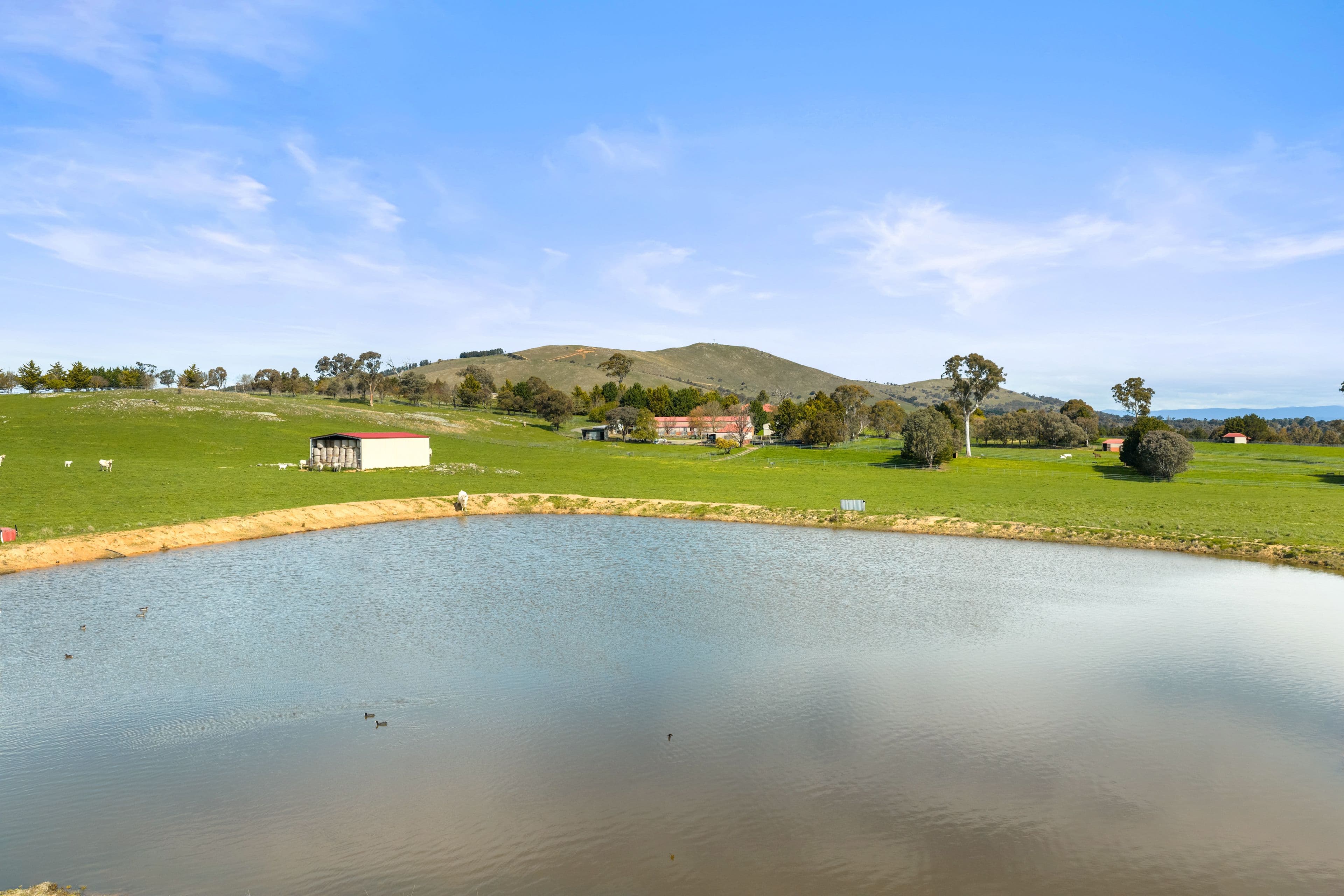 713 Nanima Road, Springrange NSW 2618, Springrange - Thumbnail 7