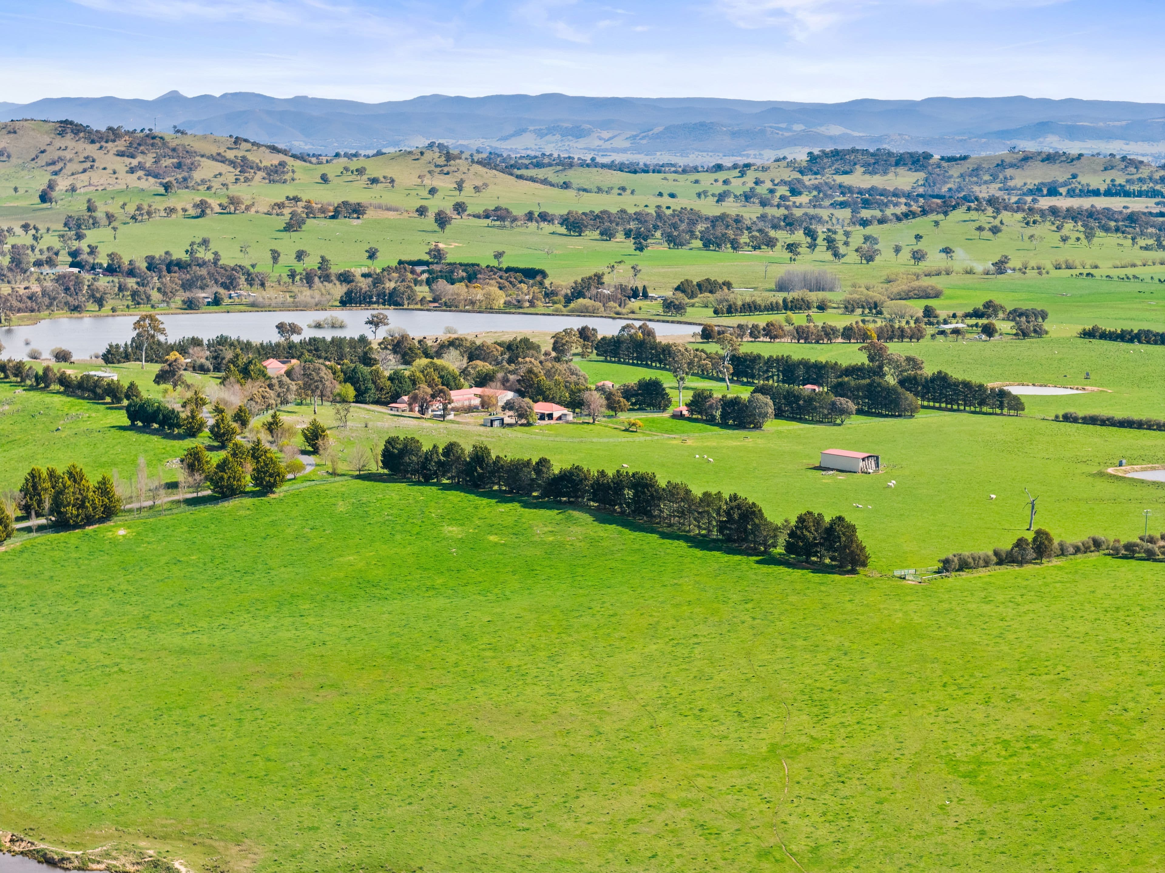 713 Nanima Road, Springrange NSW 2618, Springrange - Thumbnail 8