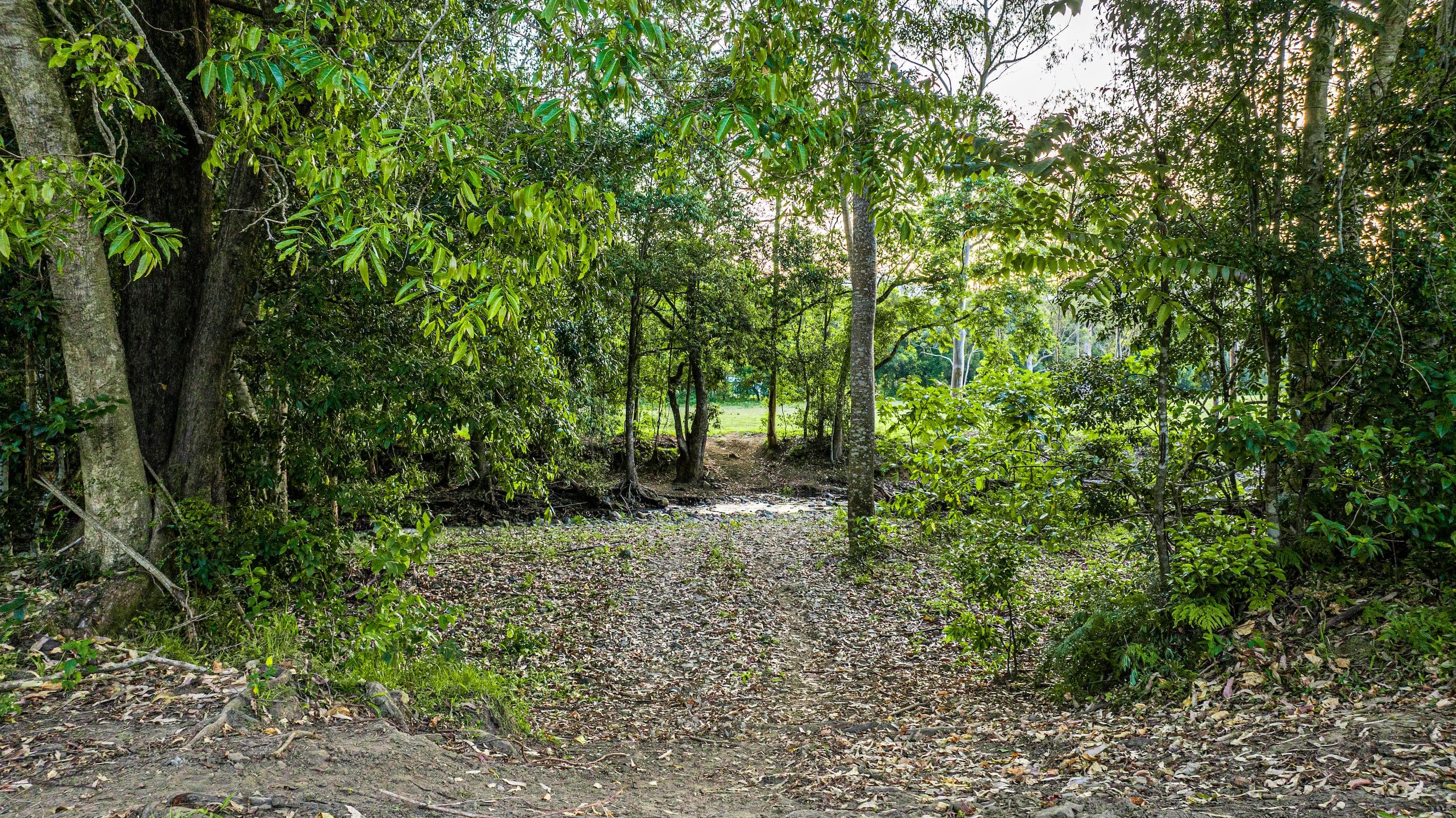 755-817 Bellthorpe Range Road, Stanmore QLD 4514, Stanmore - Thumbnail 8