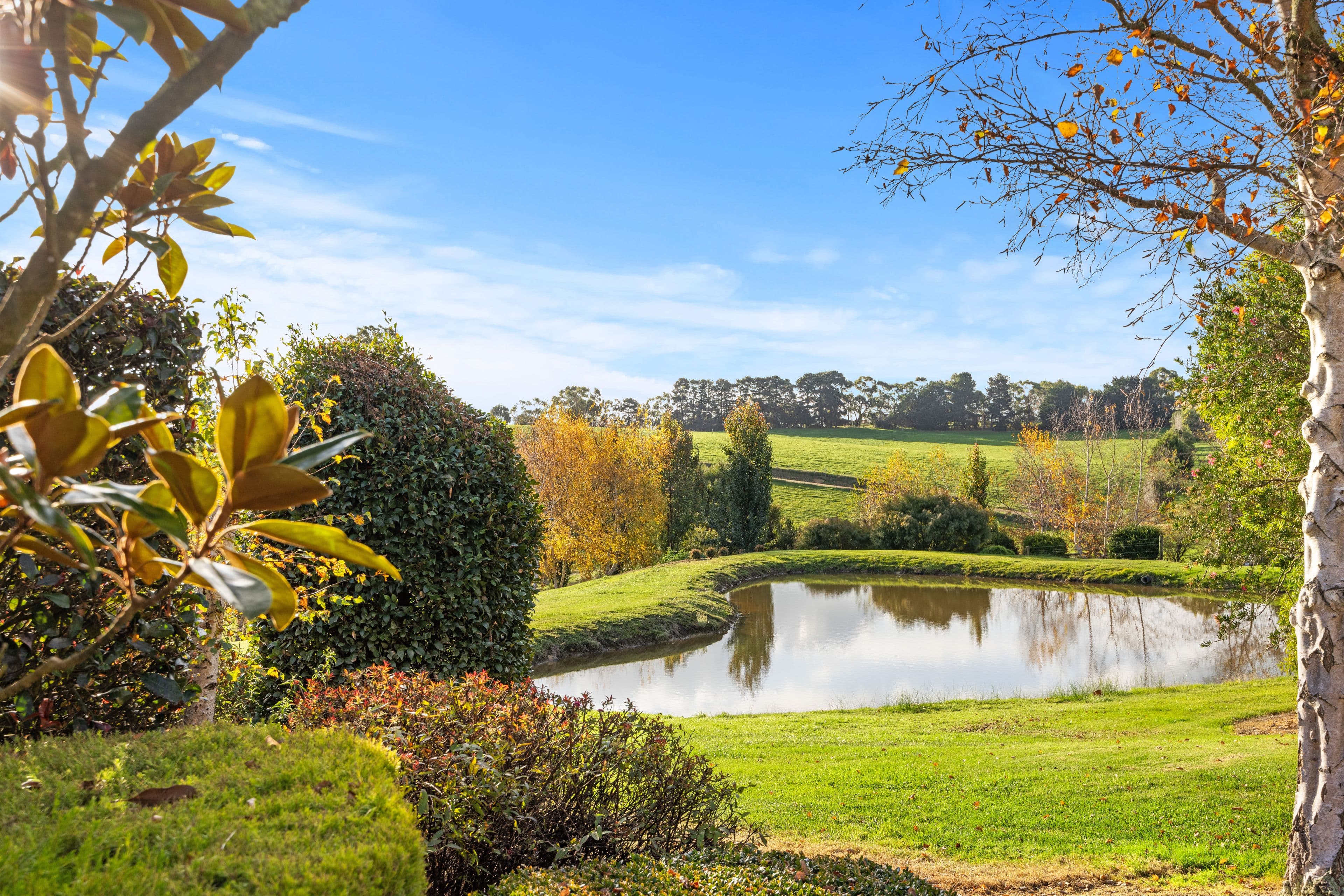 54 Martins Road, Meeniyan VIC 3956, Meeniyan - Thumbnail 2