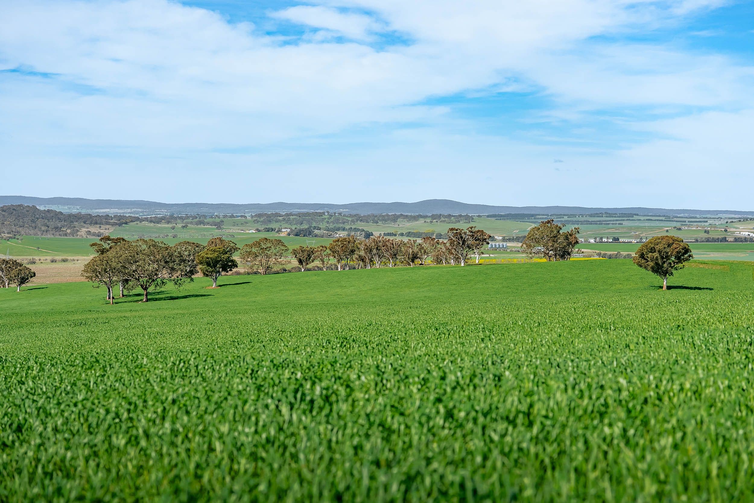 276 Currawang Road, Goulburn NSW 2580, Tirrannaville - Thumbnail 2