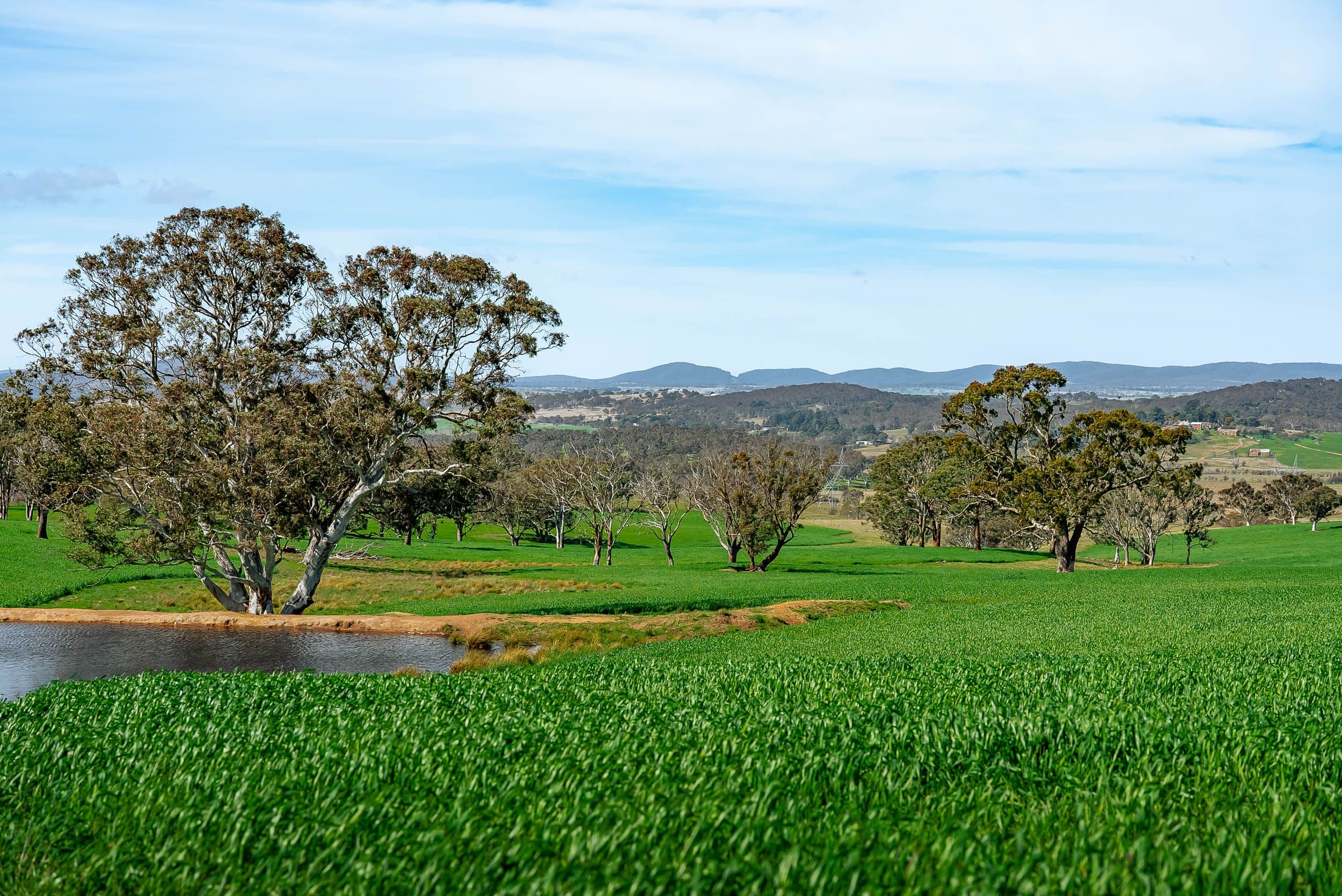 276 Currawang Road, Goulburn NSW 2580, Tirrannaville - Thumbnail 5