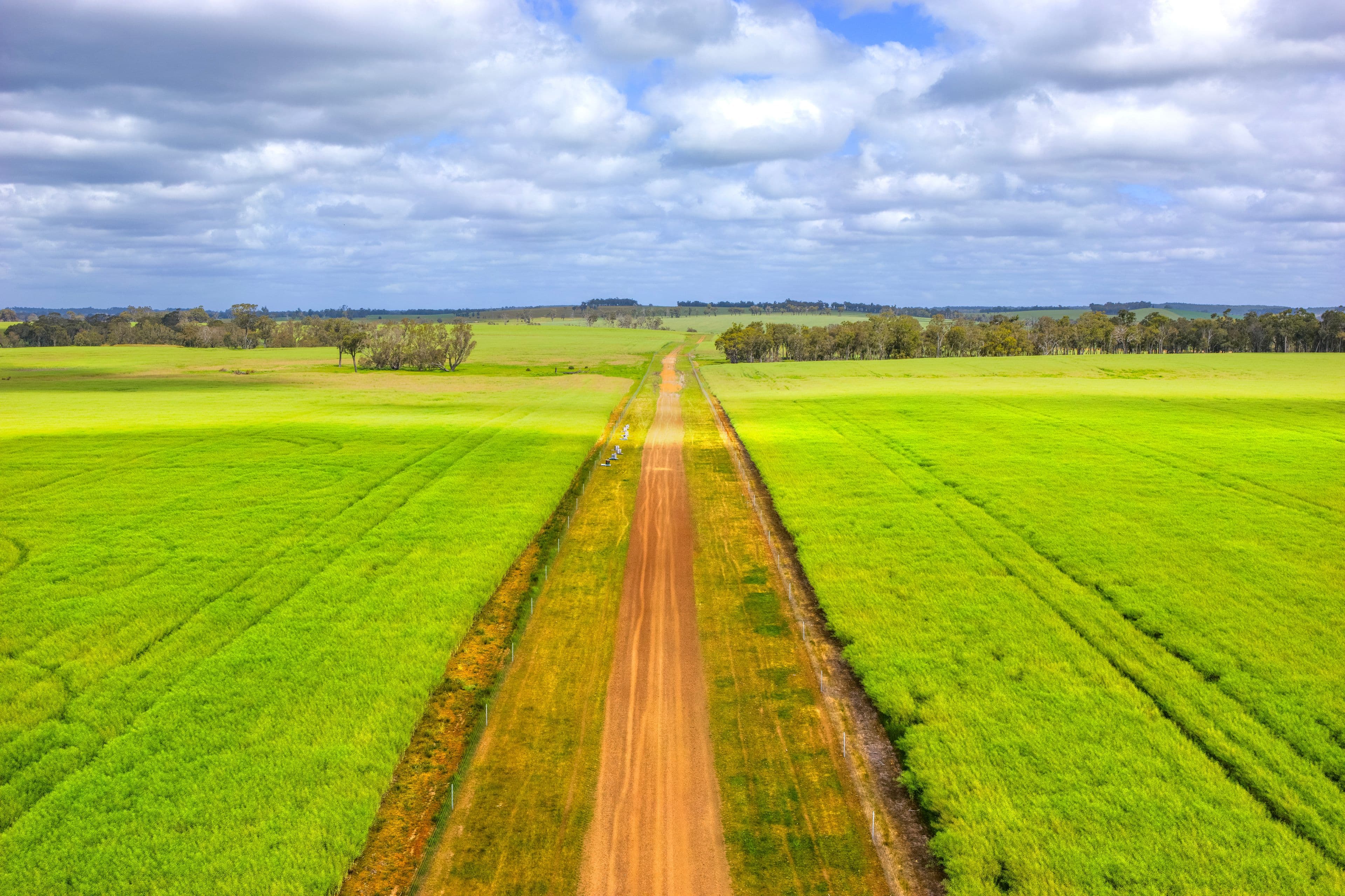 Blackwattle and Russell Road, West Cape Howe, Hay Shed Hill and wineries, Frankland River WA 6396, Frankland River - Thumbnail 8