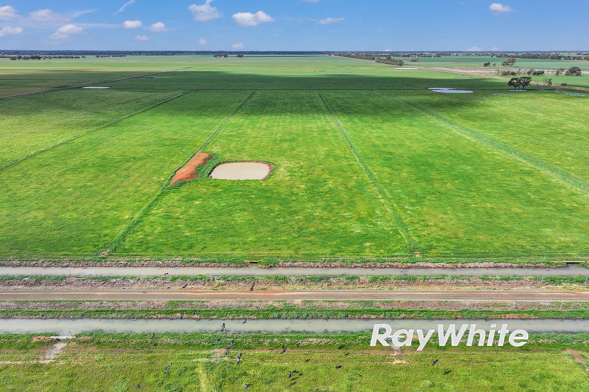 _ Restdown Road, Echuca West VIC 3564, Echuca West - Thumbnail 8