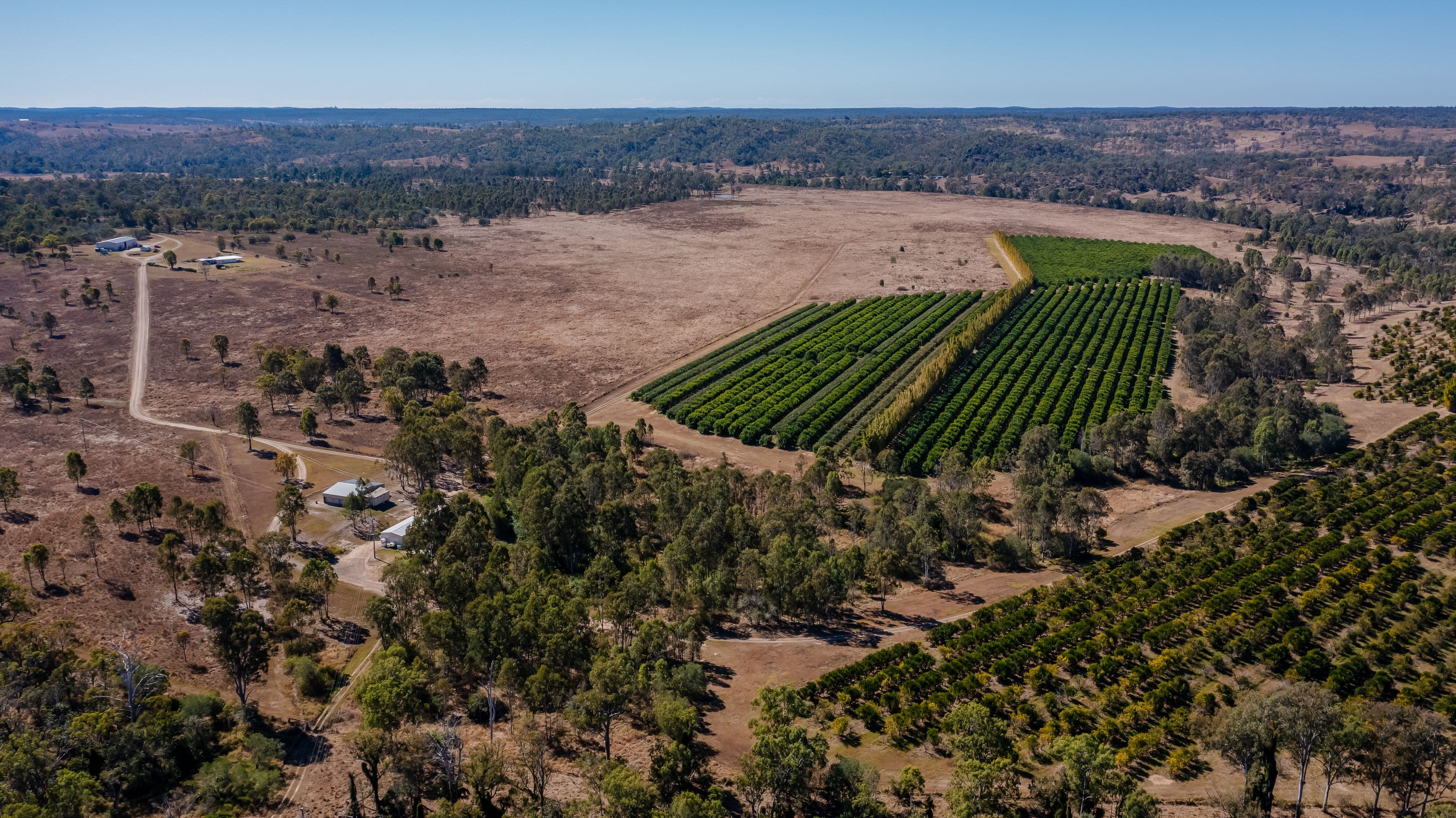 592 Nielsons Road, Good Night QLD 4671, Good Night - Image 1