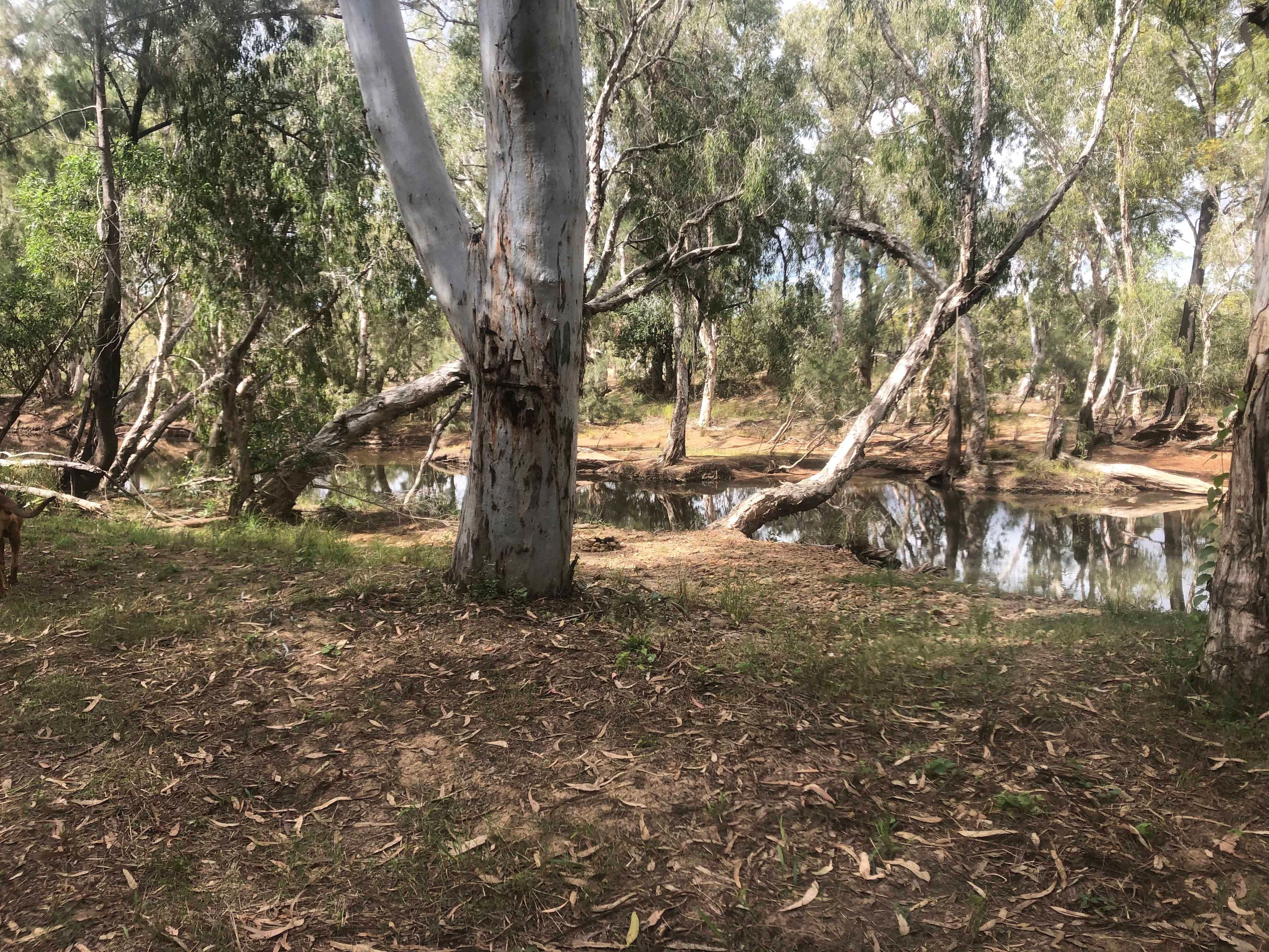 Dimbulah QLD 4872, Dimbulah - Thumbnail 3