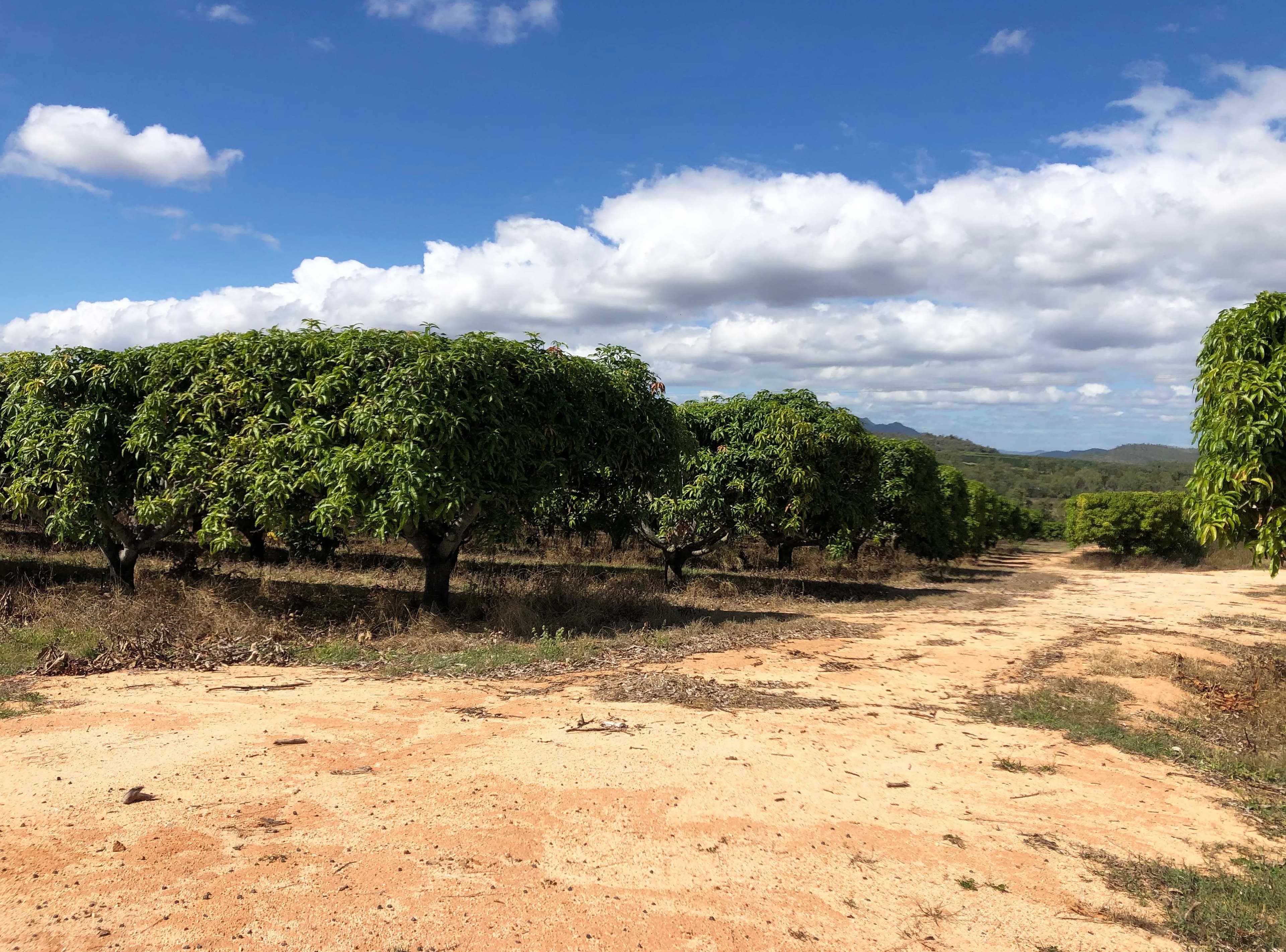 Dimbulah QLD 4872, Dimbulah - Thumbnail 5