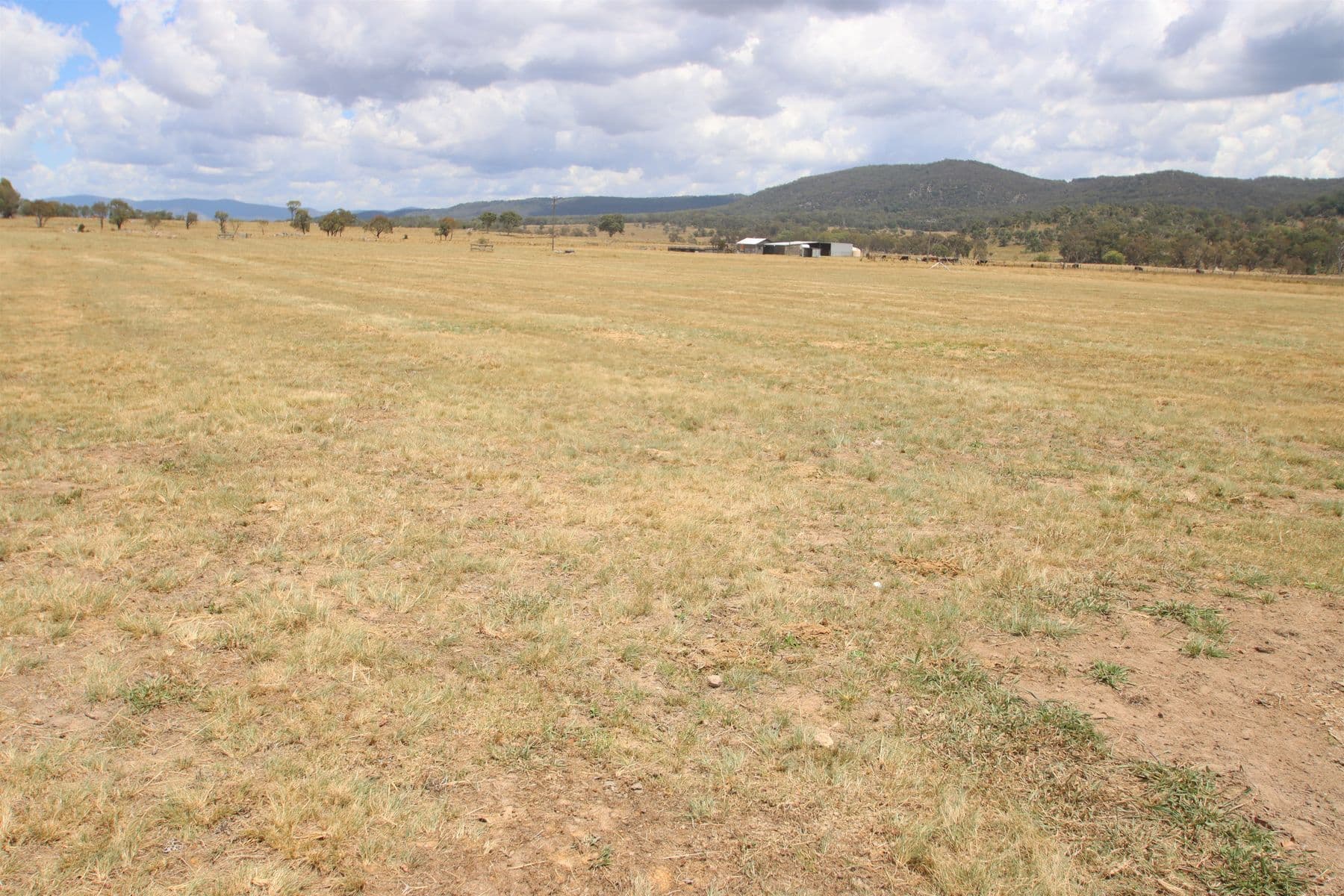 319 Washpool Creek Road, Tenterfield NSW 2372, Tenterfield - Thumbnail 3