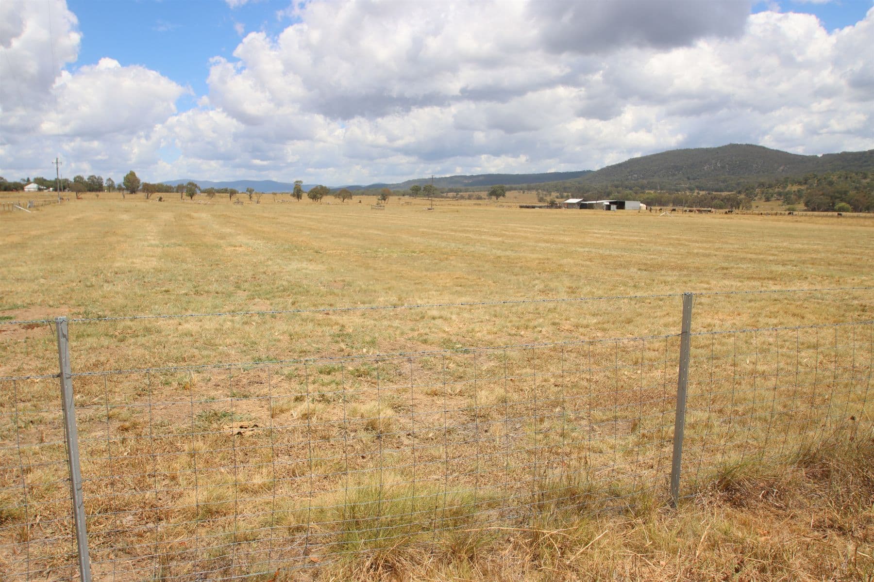 319 Washpool Creek Road, Tenterfield NSW 2372, Tenterfield - Thumbnail 6