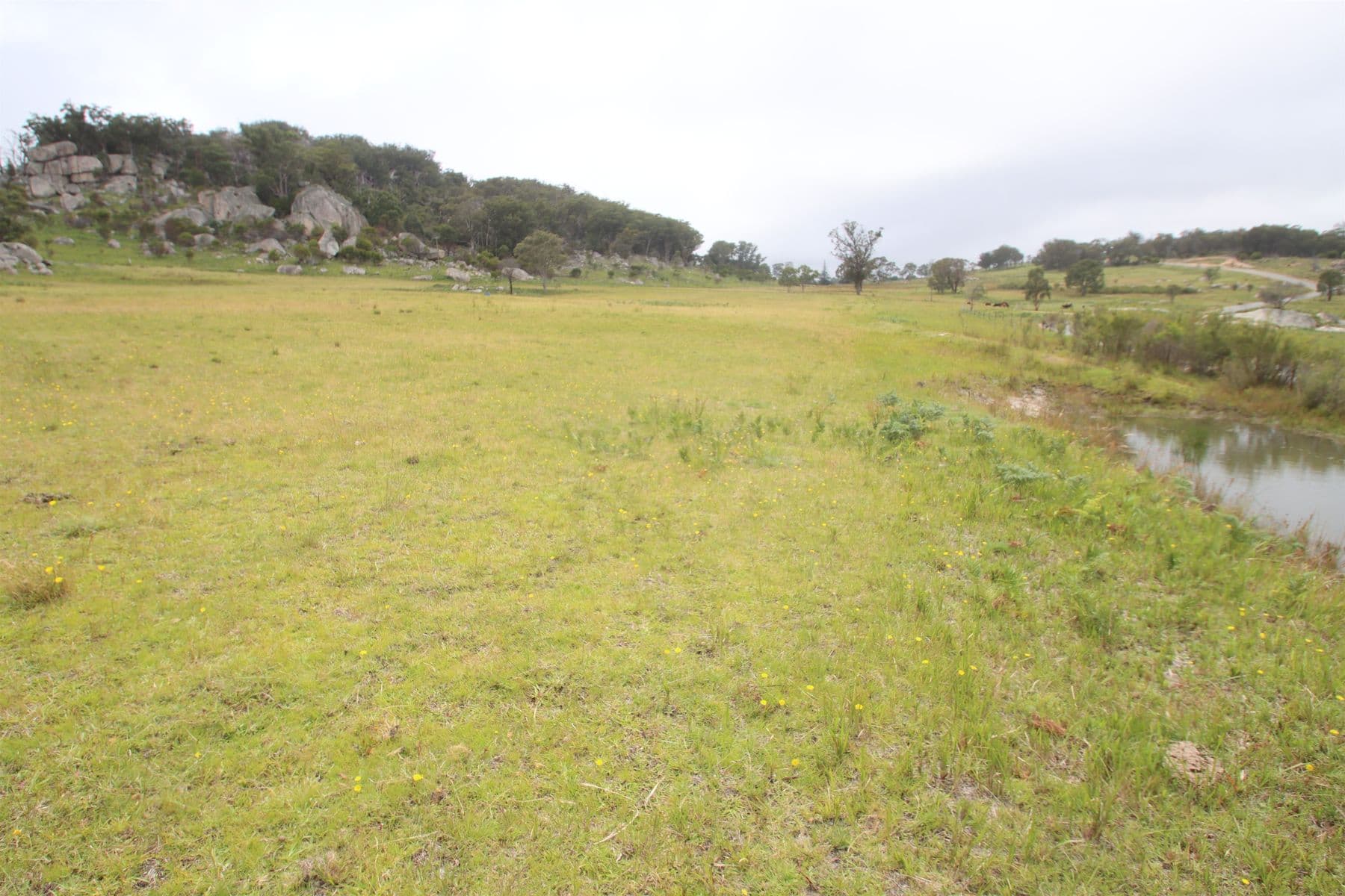 Lot 22 Kildare Road, Tenterfield NSW 2372, Tenterfield - Thumbnail 3