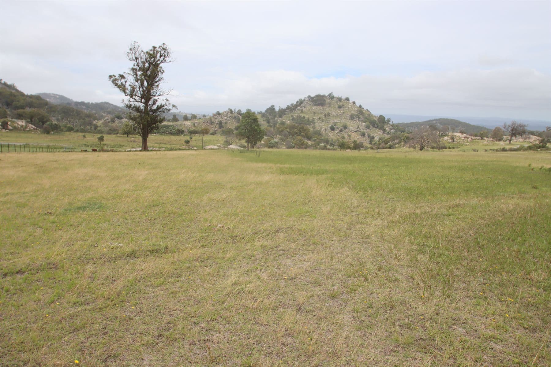Lot 22 Kildare Road, Tenterfield NSW 2372, Tenterfield - Thumbnail 8