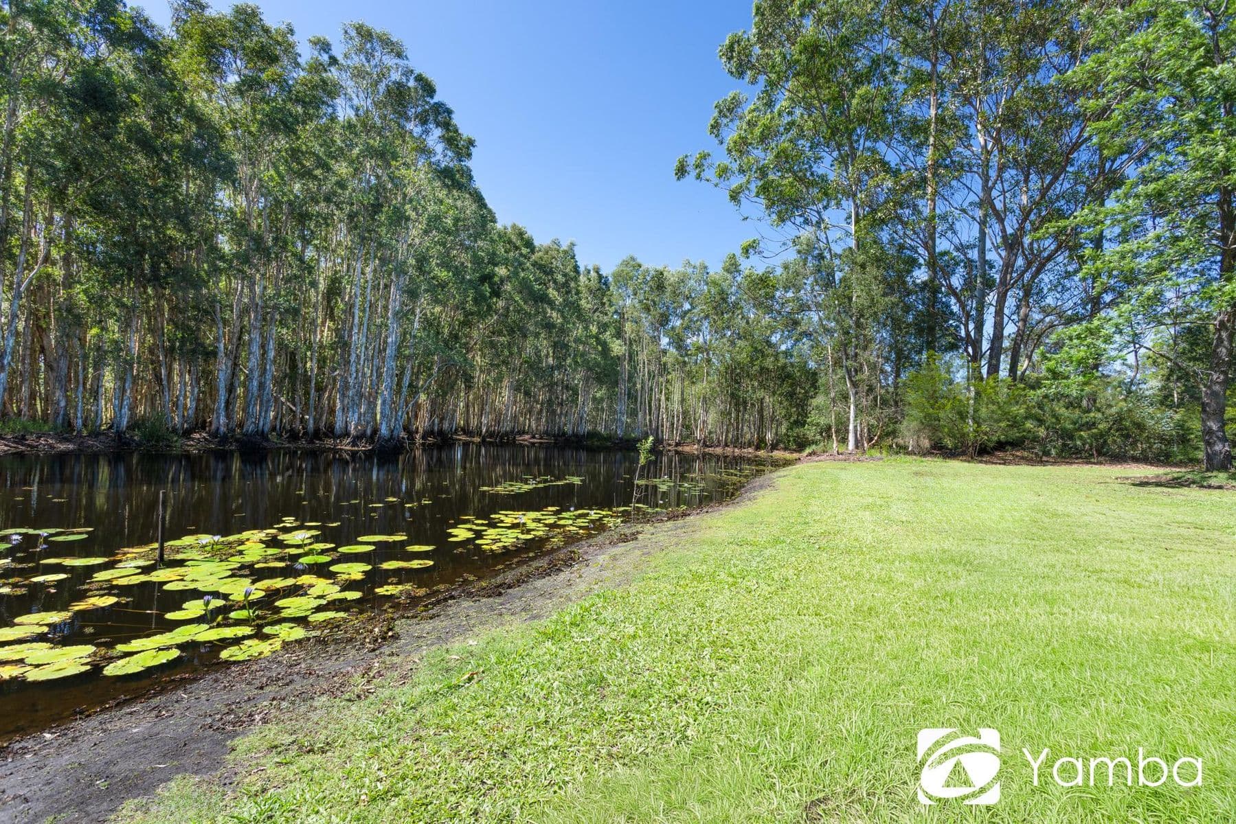 226 Gardiners Road, James Creek NSW 2463, James Creek - Thumbnail 6