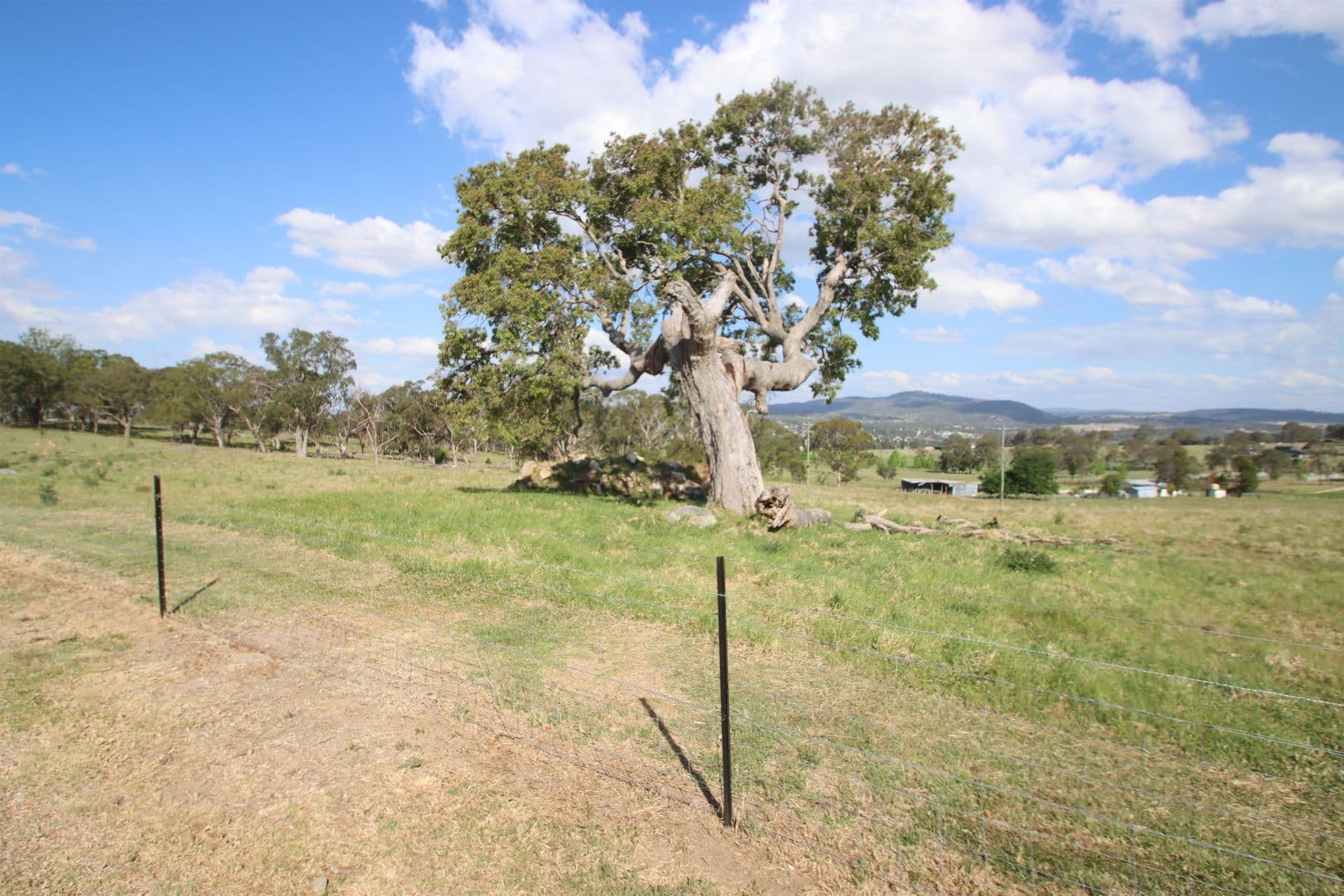 130B Sunnyside Loop Road, Tenterfield NSW 2372, Tenterfield - Thumbnail 4