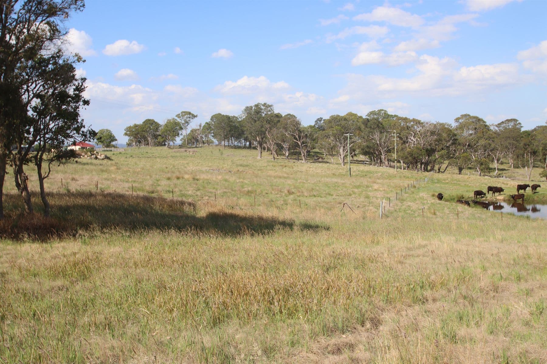 130B Sunnyside Loop Road, Tenterfield NSW 2372, Tenterfield - Thumbnail 6