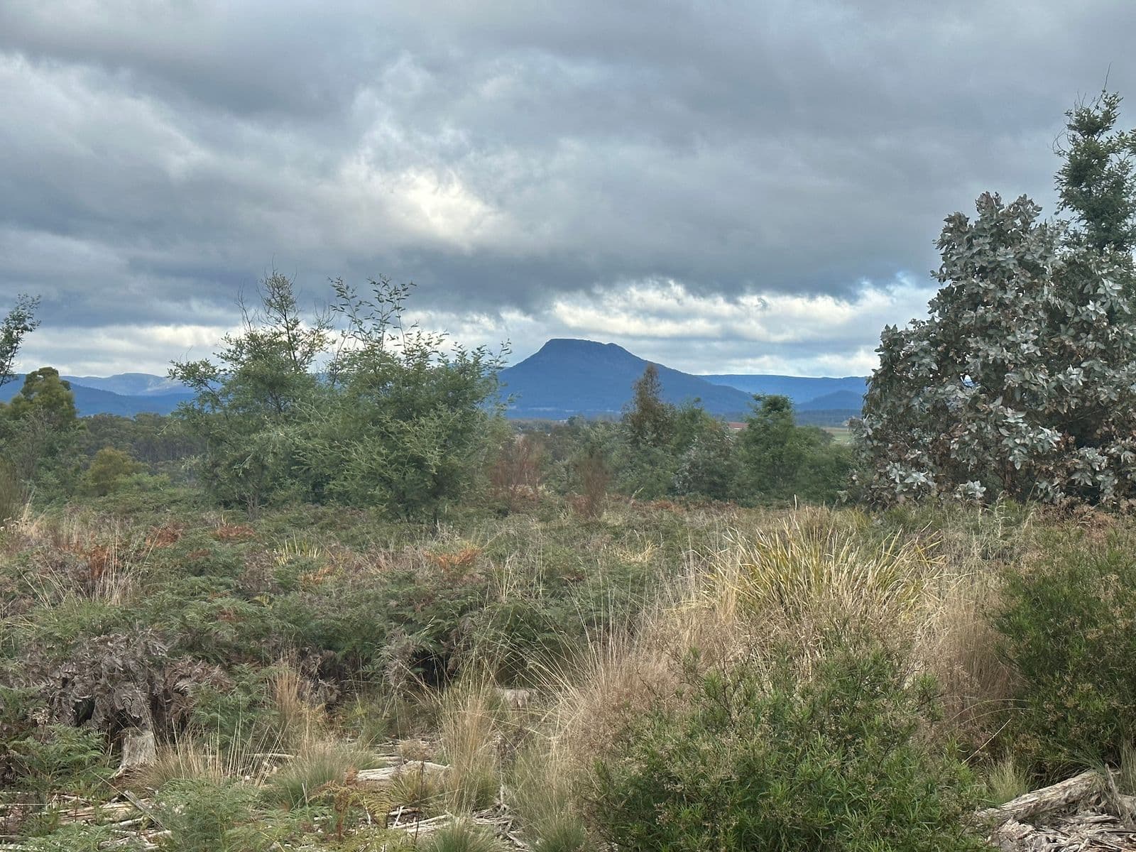 41 Wadleys Road, Reedy Marsh TAS 7304, Reedy Marsh - Thumbnail 2