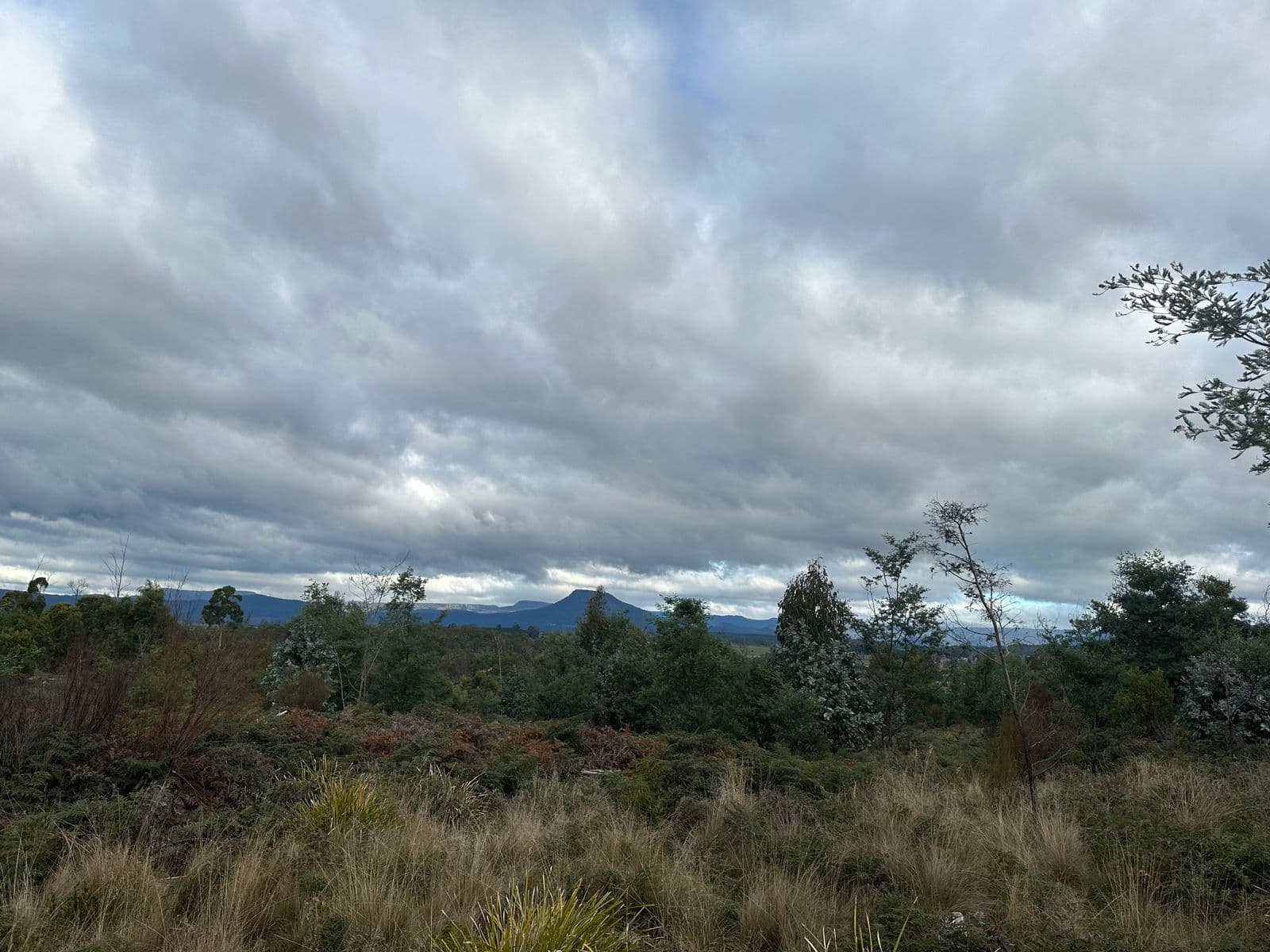 41 Wadleys Road, Reedy Marsh TAS 7304, Reedy Marsh - Thumbnail 4