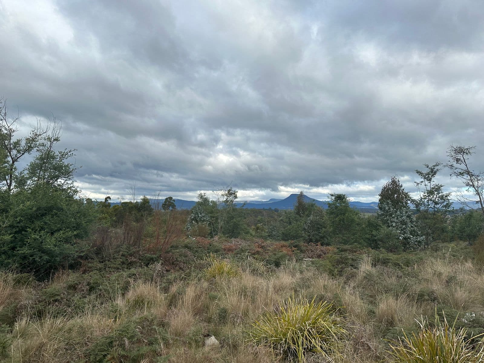 41 Wadleys Road, Reedy Marsh TAS 7304, Reedy Marsh - Thumbnail 6