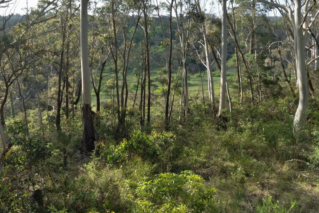 6 Alma Lane, Katoomba - Image 1