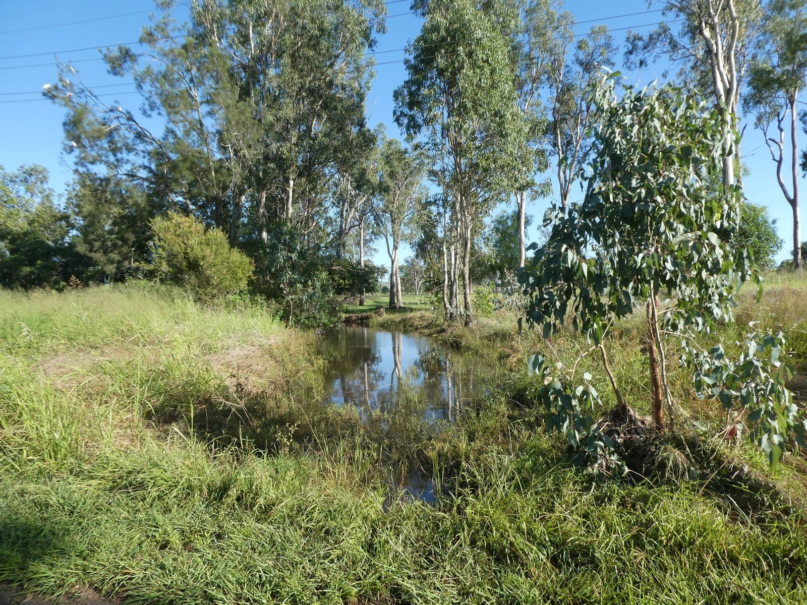 32 Main Street, Coalstoun Lakes QLD 4621, Coalstoun Lakes - Thumbnail 5
