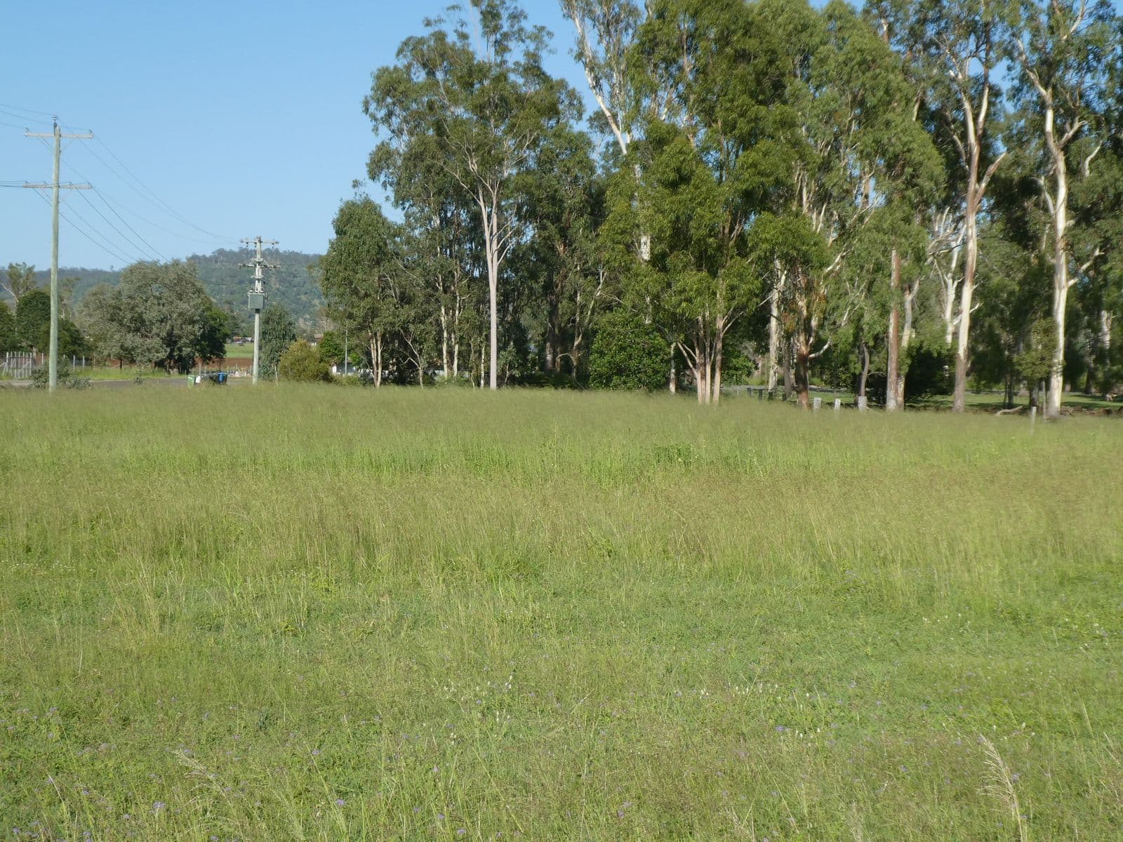 32 Main Street, Coalstoun Lakes QLD 4621, Coalstoun Lakes - Thumbnail 6