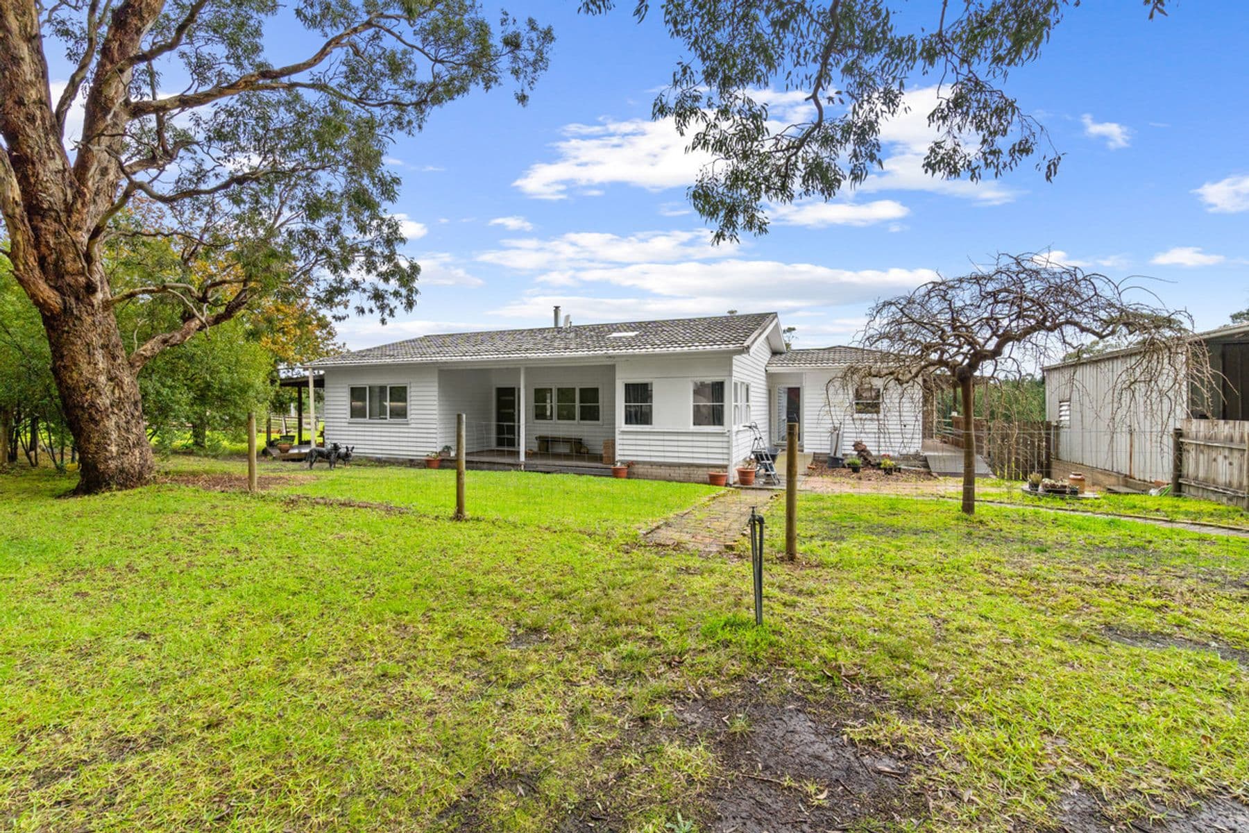 161 Scrubby Lane, Traralgon VIC 3844, Traralgon - Thumbnail 2