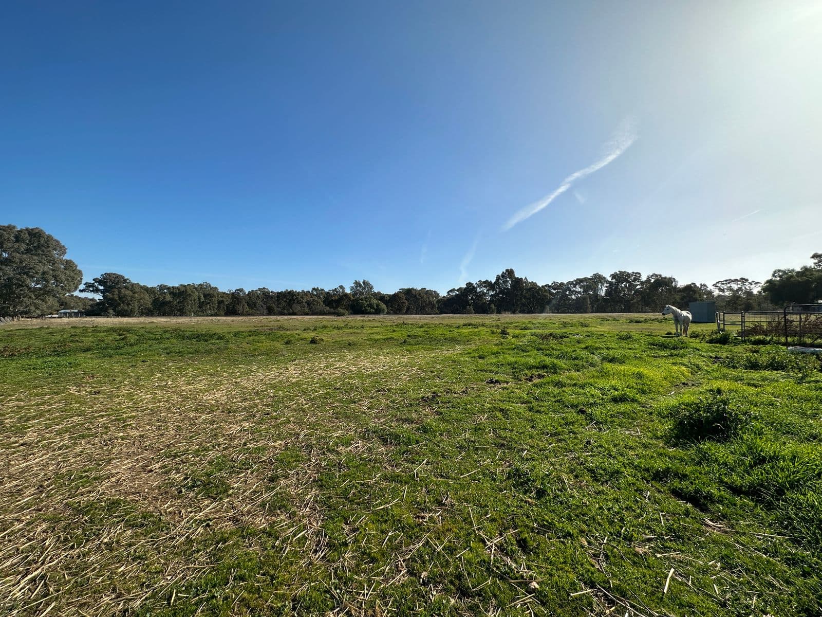 Crn Inkerman & Daly Street, Dunolly VIC 3472, Dunolly - Image 1