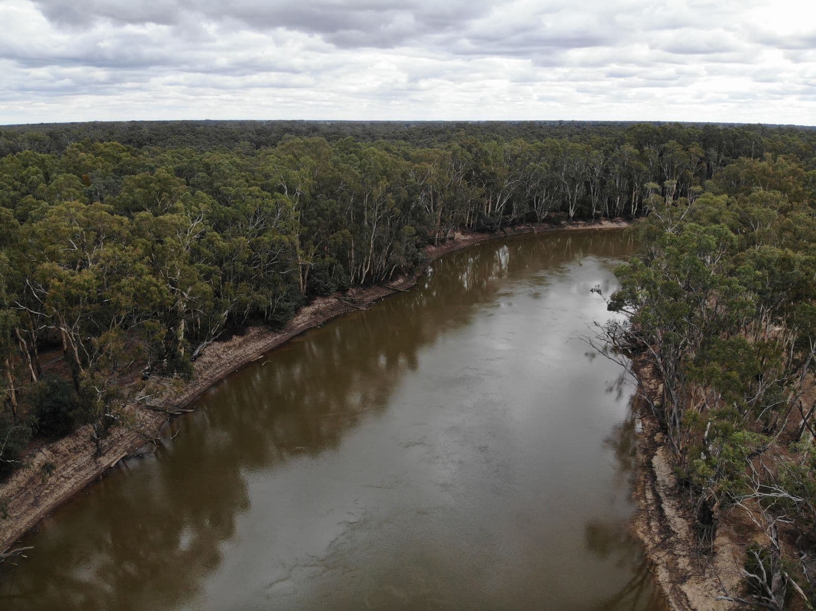 56 Riverview Drive, Barham NSW 2732, Barham - Thumbnail 3