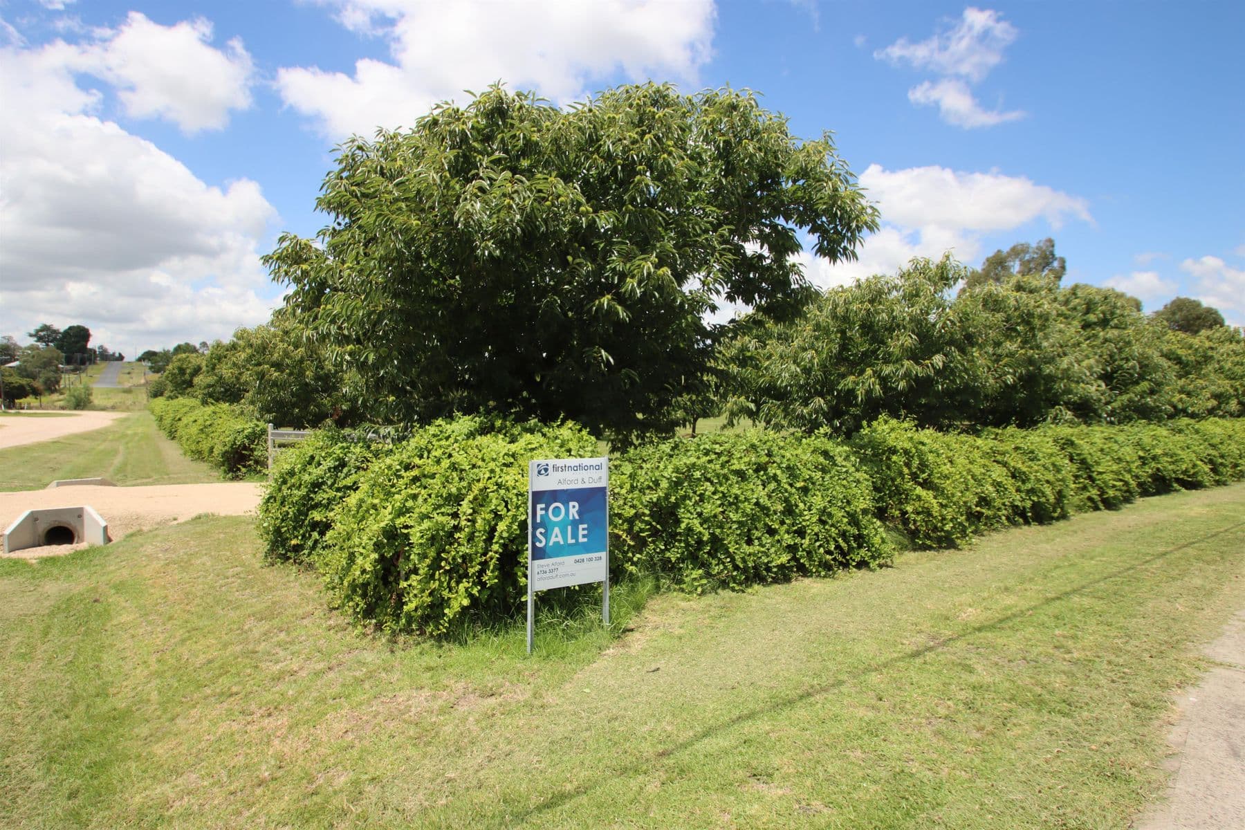 443 Rouse Street, Tenterfield NSW 2372, Tenterfield - Image 1