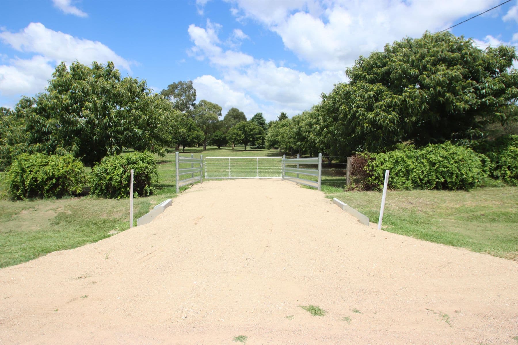 443 Rouse Street, Tenterfield NSW 2372, Tenterfield - Thumbnail 2