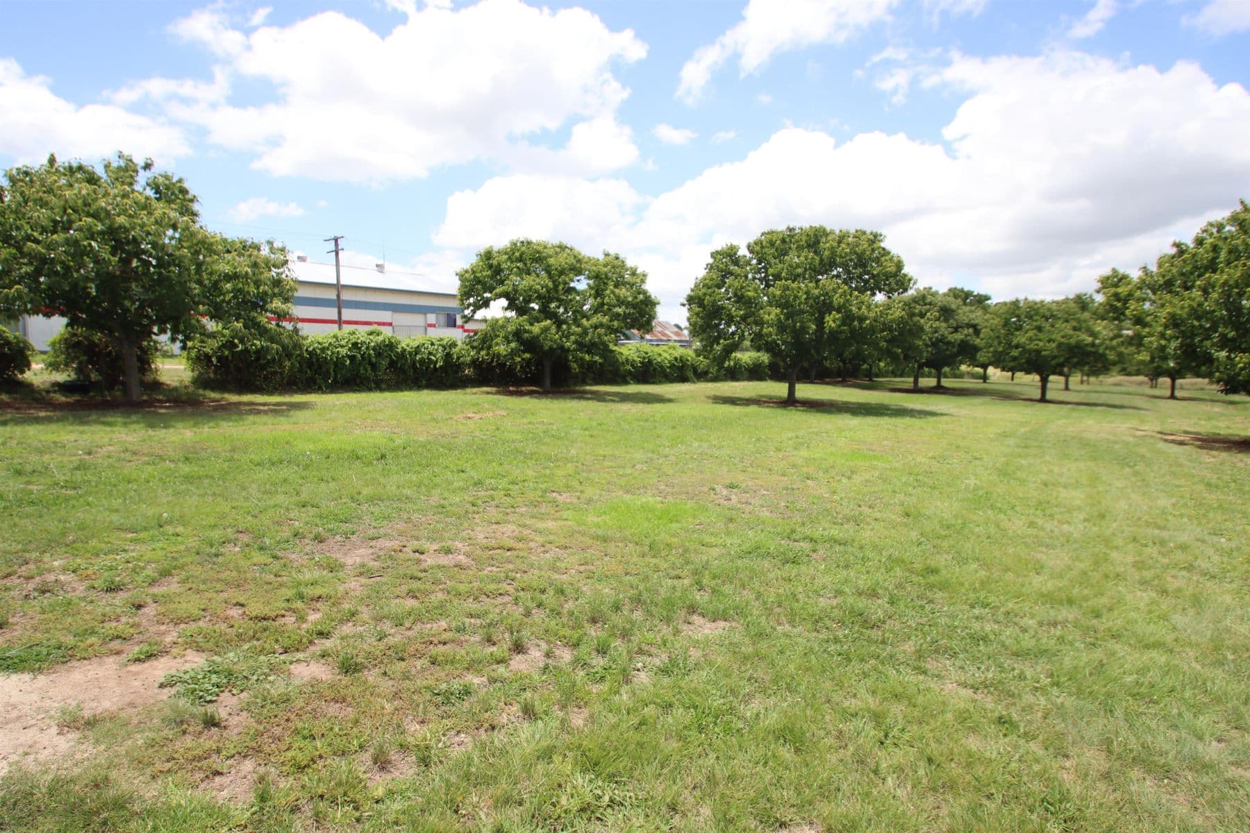 443 Rouse Street, Tenterfield NSW 2372, Tenterfield - Thumbnail 3
