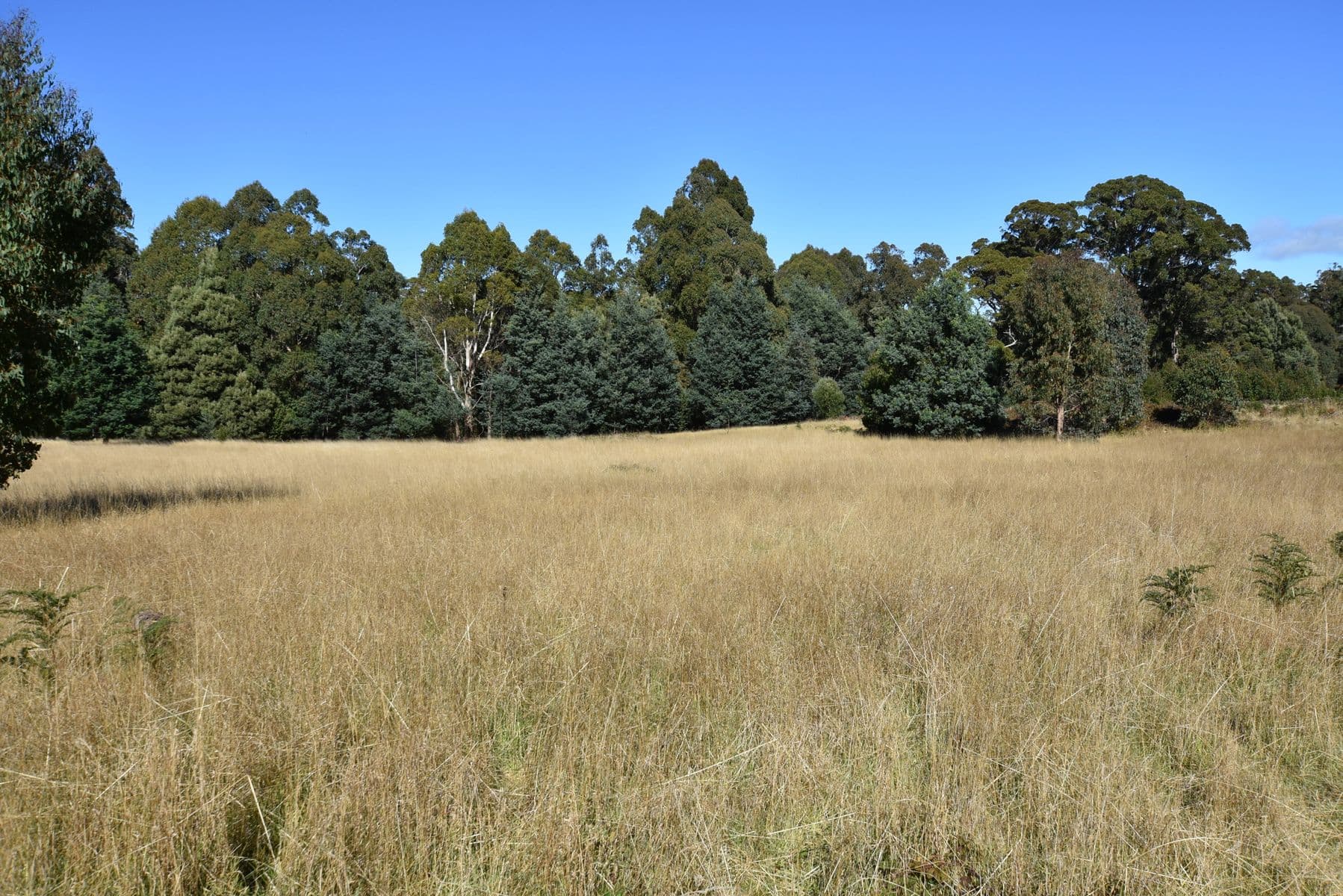 54 Bonney Street, Elizabeth Town TAS 7304, Elizabeth Town - Image 1