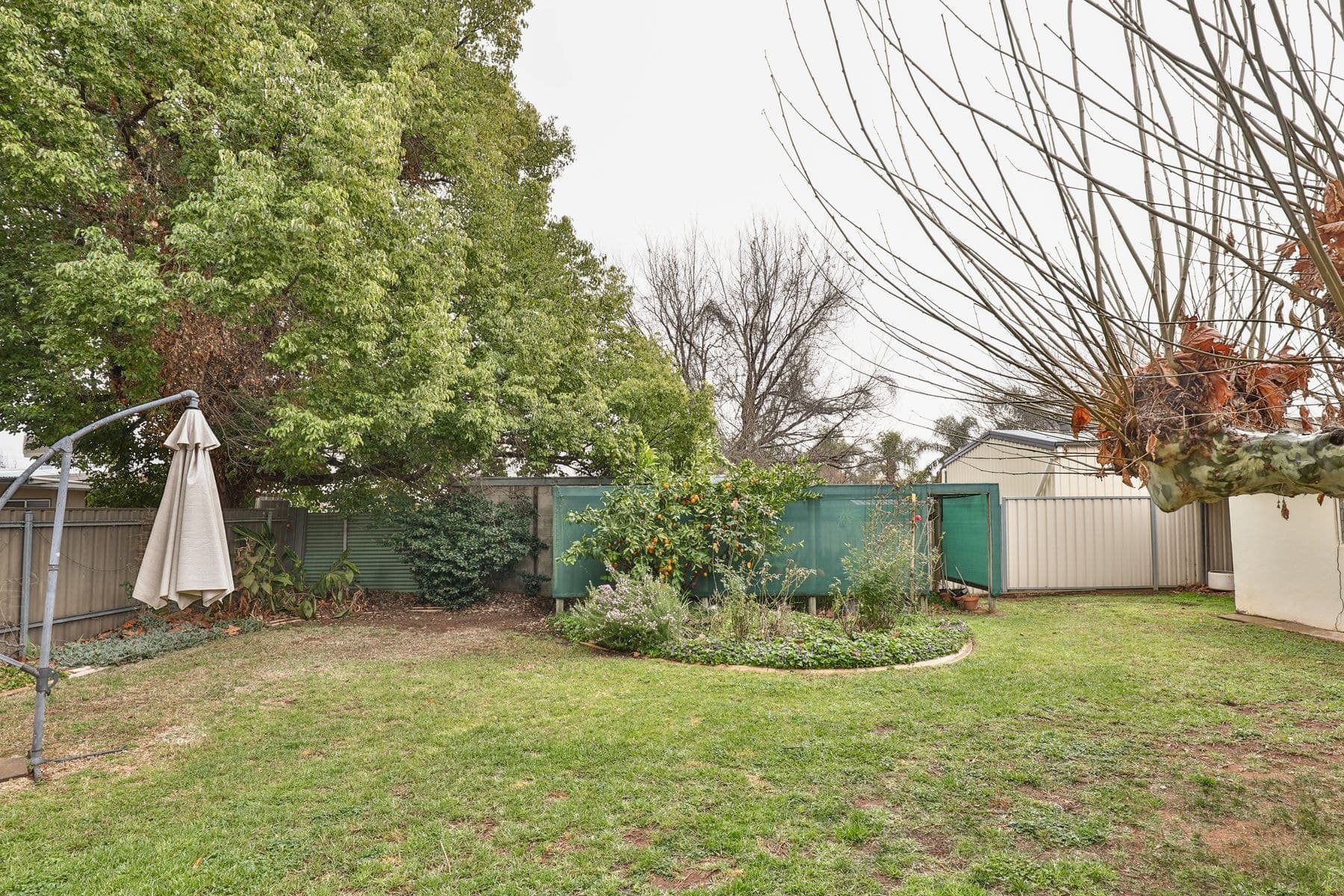 207 Walnut Avenue, Mildura - Thumbnail 4