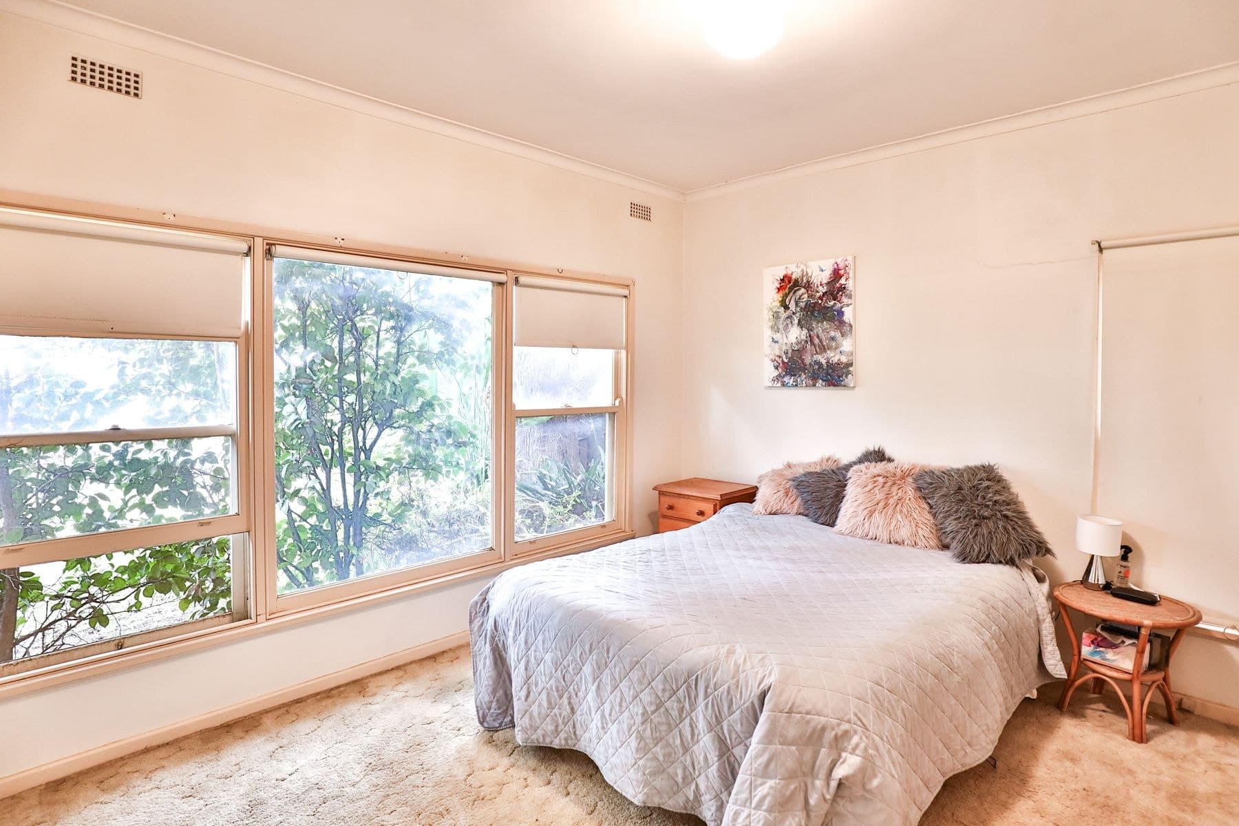 207 Walnut Avenue, Mildura - Thumbnail 8