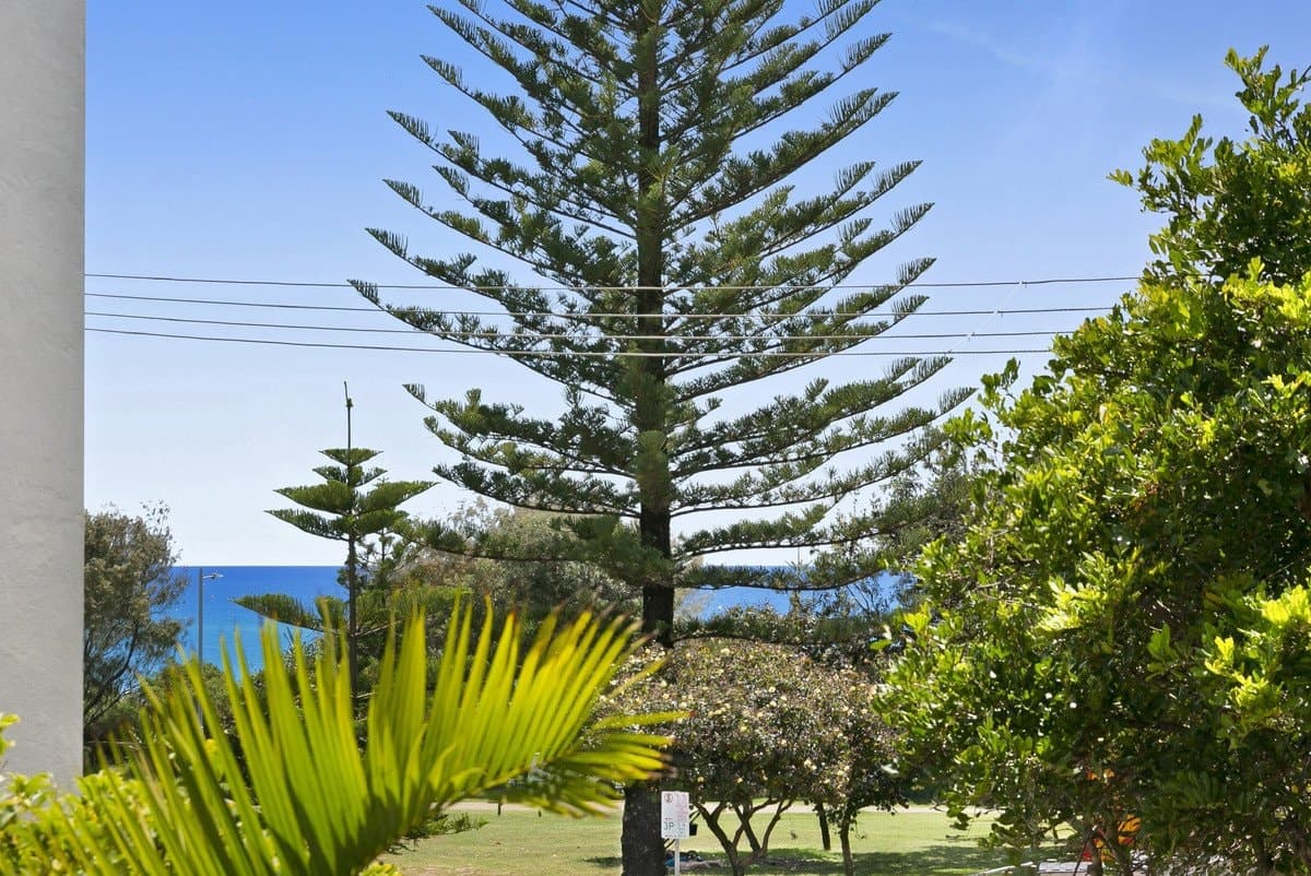 5/276 The Esplanade, Miami QLD 4220, Miami - Thumbnail 4