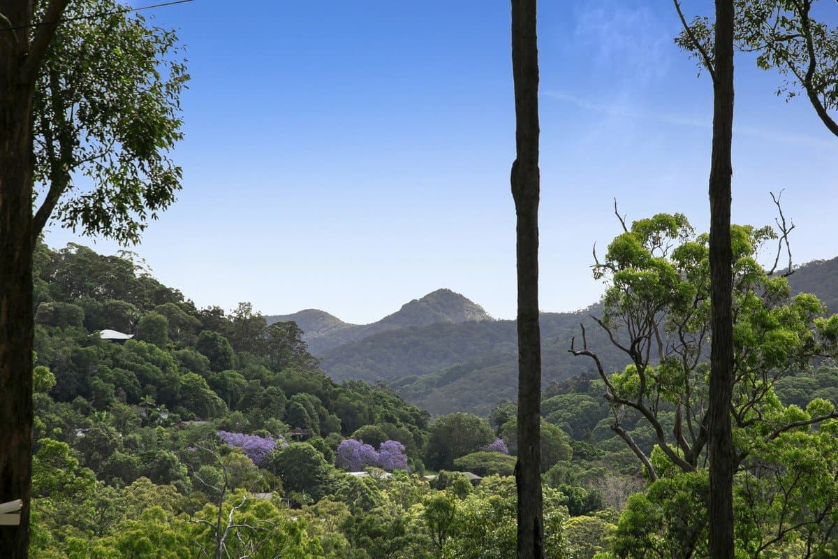 40 Jedda Street, Tallebudgera QLD 4228, Tallebudgera Property Image - Image 1