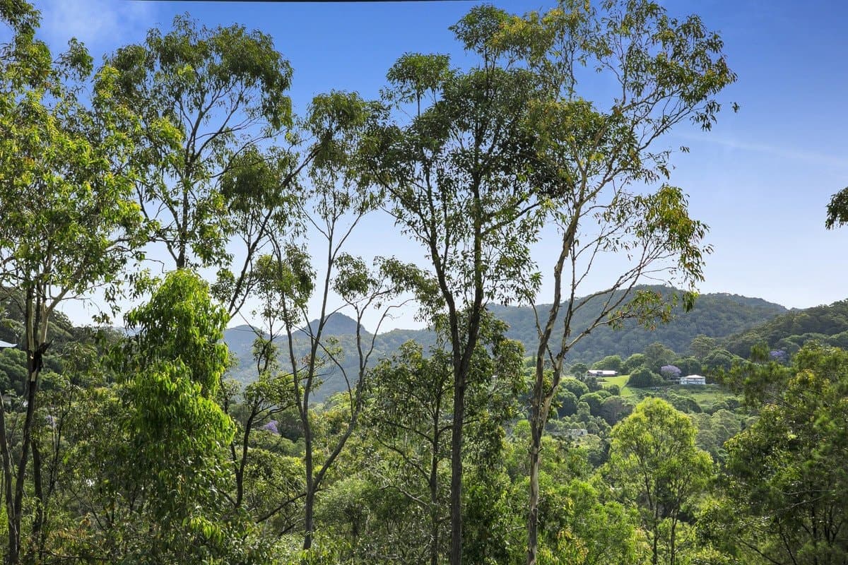 40 Jedda Street, Tallebudgera QLD 4228, Tallebudgera Property Image - Thumbnail 6