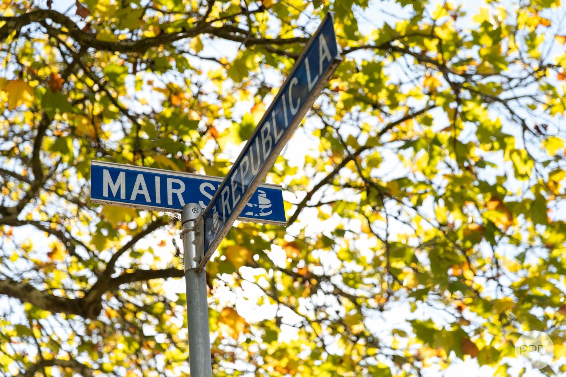1305
                Mair
                Street
            
            
            
            ballarat central
            
            
            VIC,
            3350, Ballarat Central Property Image - Thumbnail 3