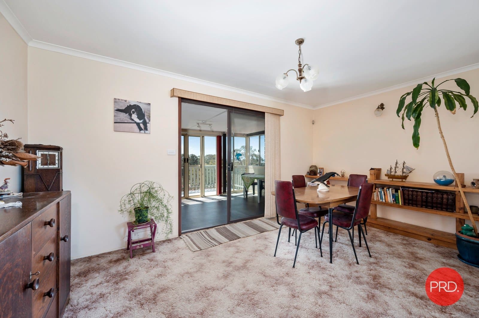 15
                Campbell
                Street
            
            
            
            safety beach
            
            
            NSW,
            2456, Safety Beach - Thumbnail 5