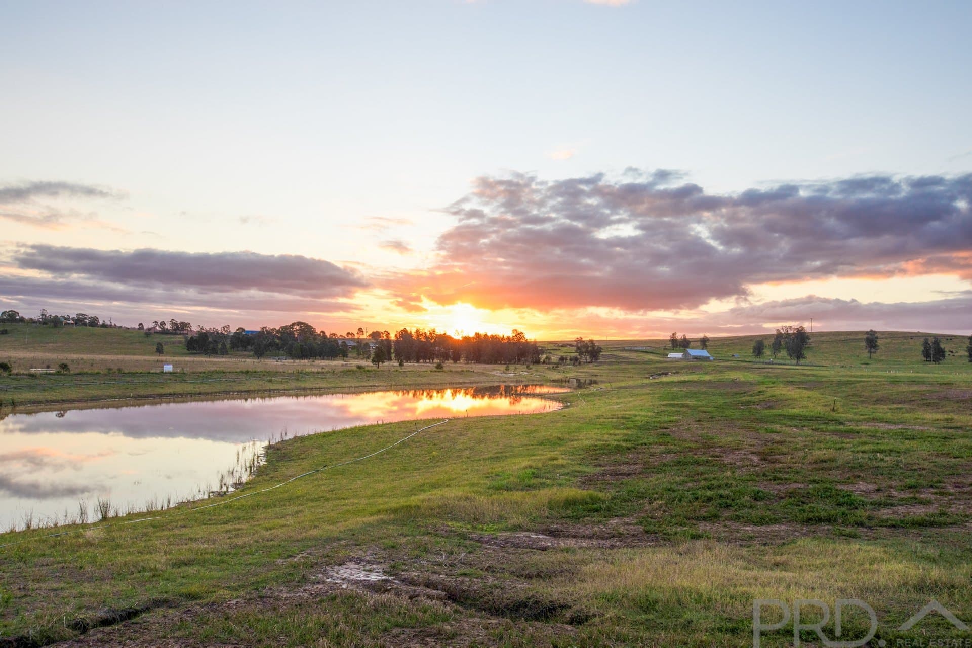 32
                Pyrus
                Avenue
            
            
            
            branxton
            
            
            NSW,
            2335, Branxton - Image 1