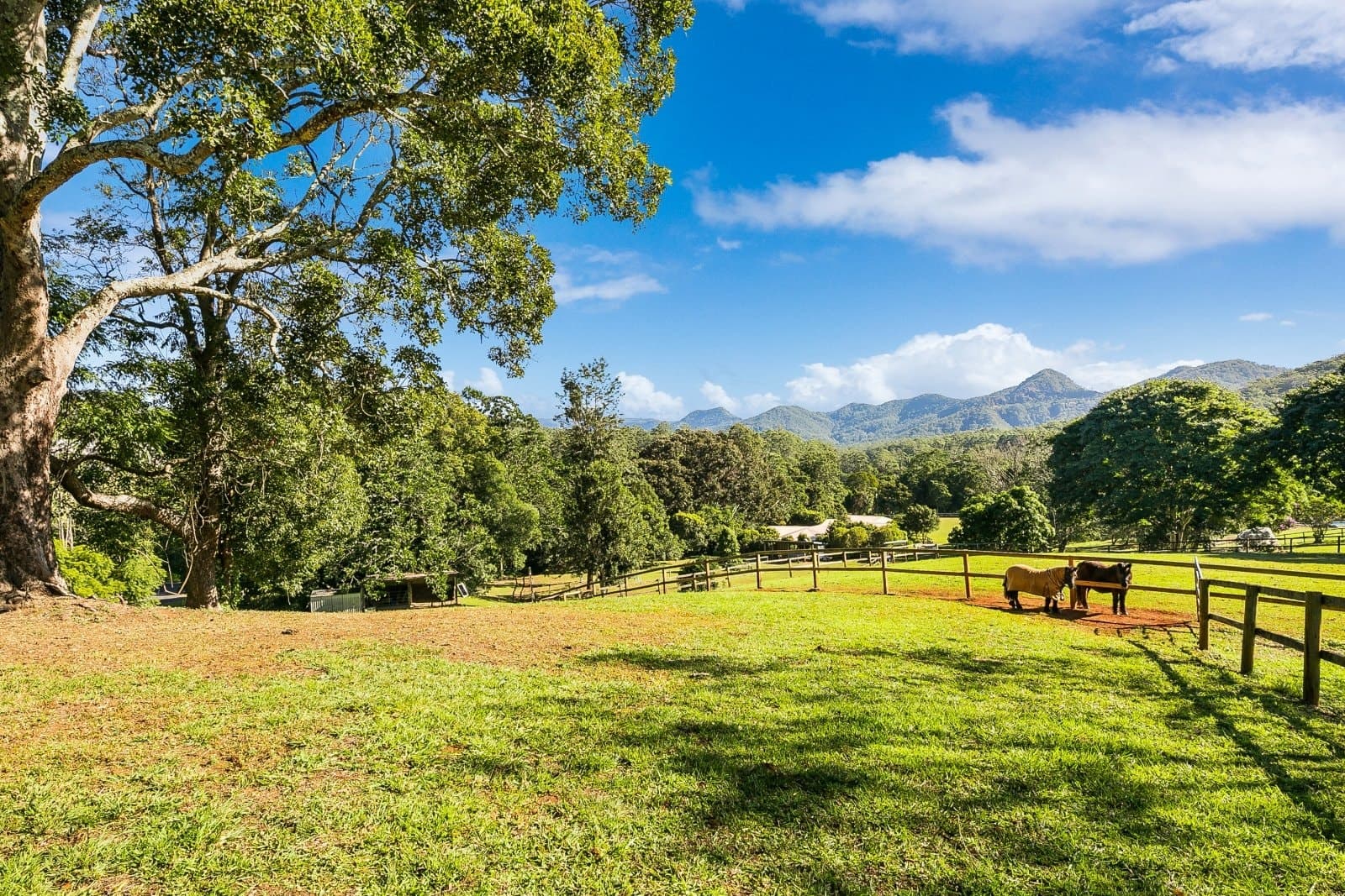 2 Ranch Court, TALLEBUDGERA VALLEY QLD 4228, Tallebudgera Valley Property Image - Image 1