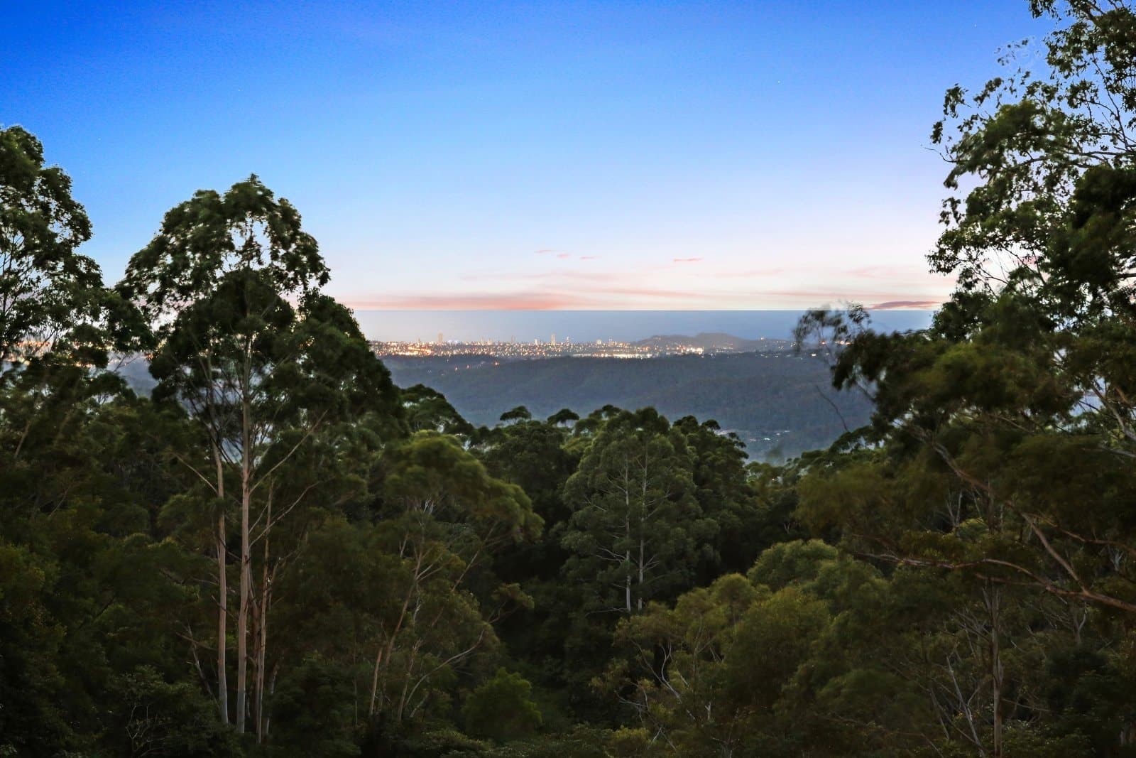 447 Mount Nimmel Road, AUSTINVILLE QLD 4213, Austinville Property Image - Thumbnail 5