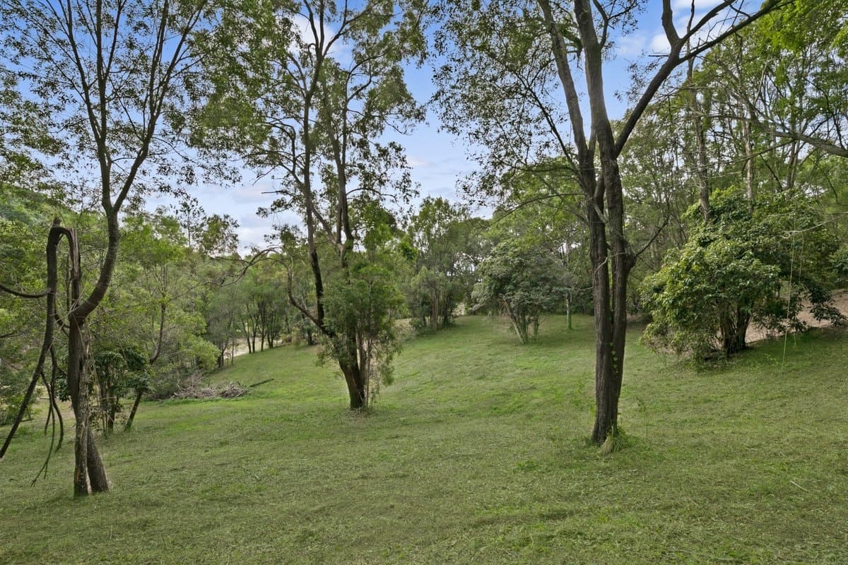 362 Trees Road, TALLEBUDGERA QLD 4228, Tallebudgera - Thumbnail 5