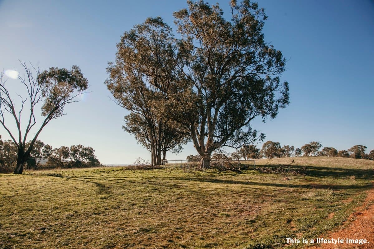 Lot 67 Astley Close, LLOYD NSW 2650, Lloyd - Thumbnail 6