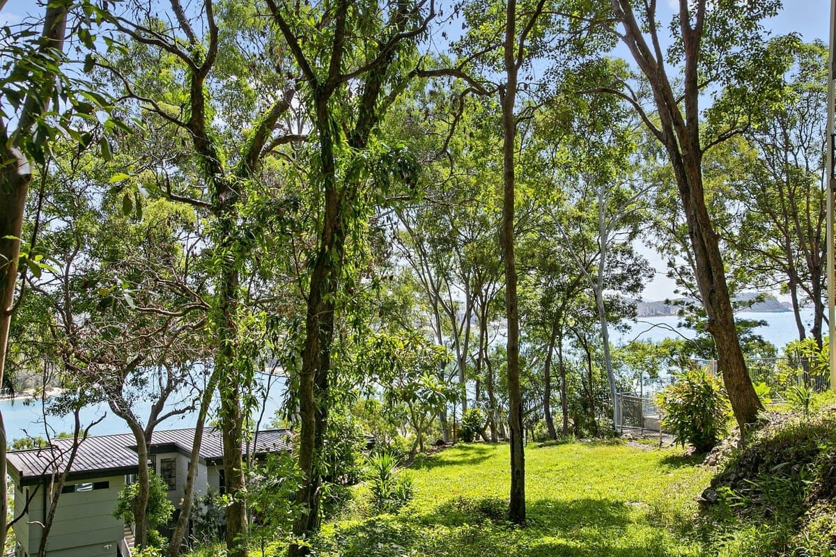 6 James Street, CURRUMBIN QLD 4223, Currumbin Property Image - Thumbnail 6