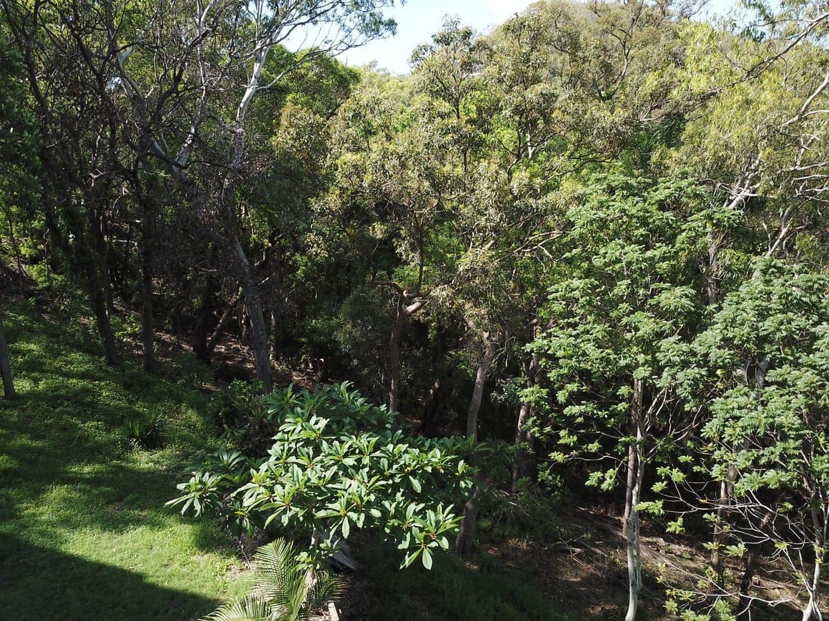 6 James Street, CURRUMBIN QLD 4223, Currumbin Property Image - Thumbnail 8