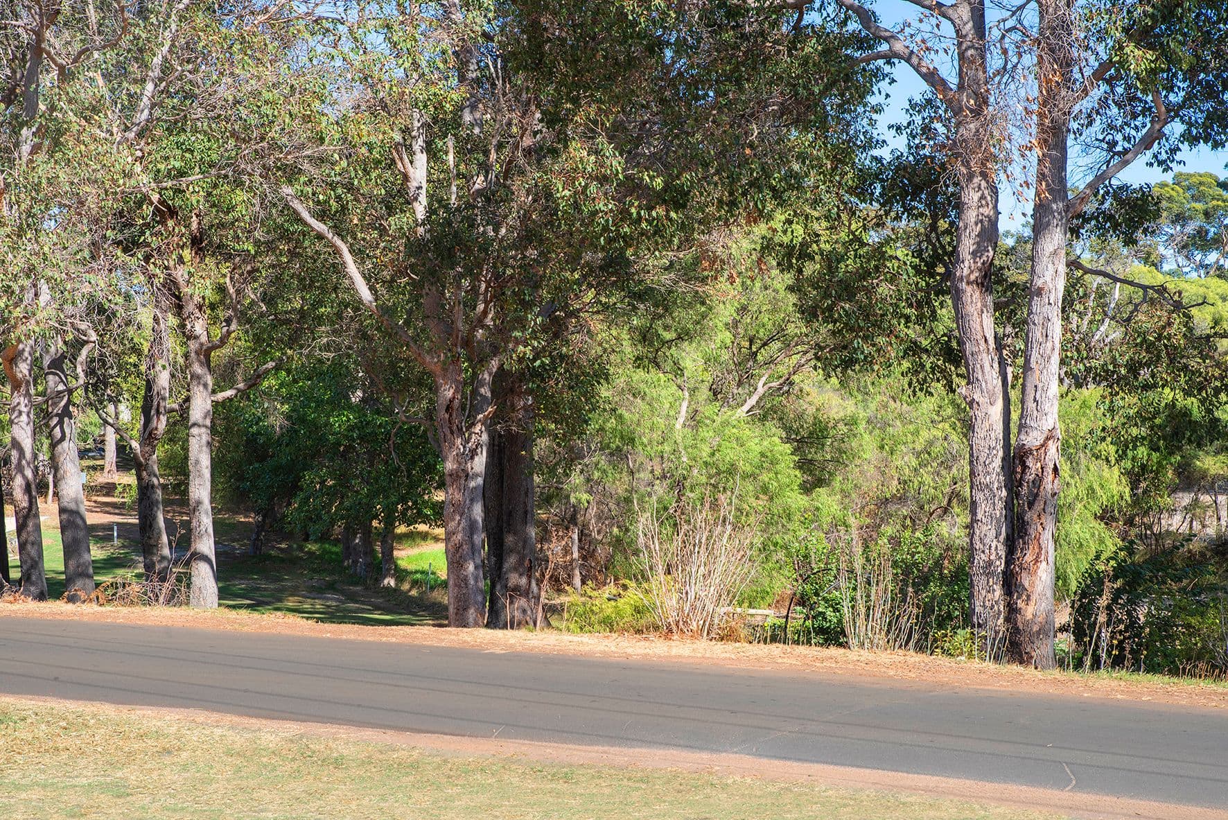 4 O'Brien Street, Cowaramup WA 6284, Cowaramup - Thumbnail 4