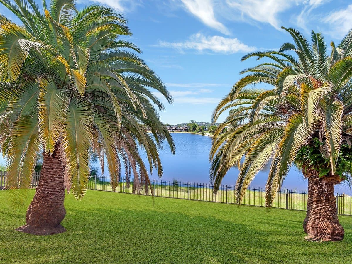 88 Honeyeater Drive, BURLEIGH WATERS QLD 4220, Burleigh Waters - Thumbnail 8