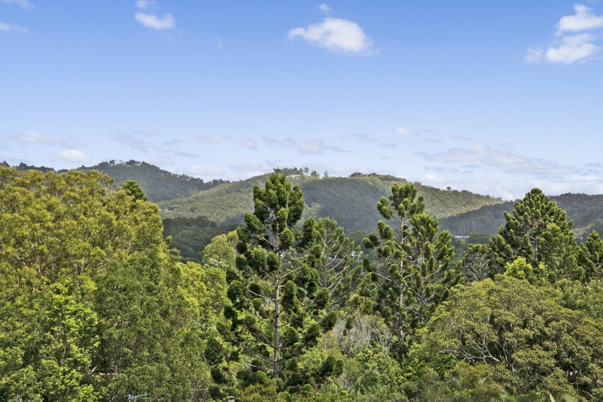 136 Valley Drive, TALLEBUDGERA QLD 4228, Tallebudgera Property Image - Thumbnail 7
