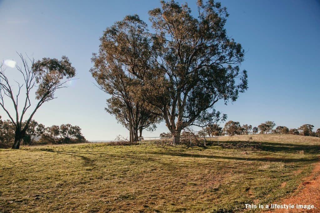 Lot 66 Astley Close, LLOYD NSW 2650, Lloyd - Thumbnail 5